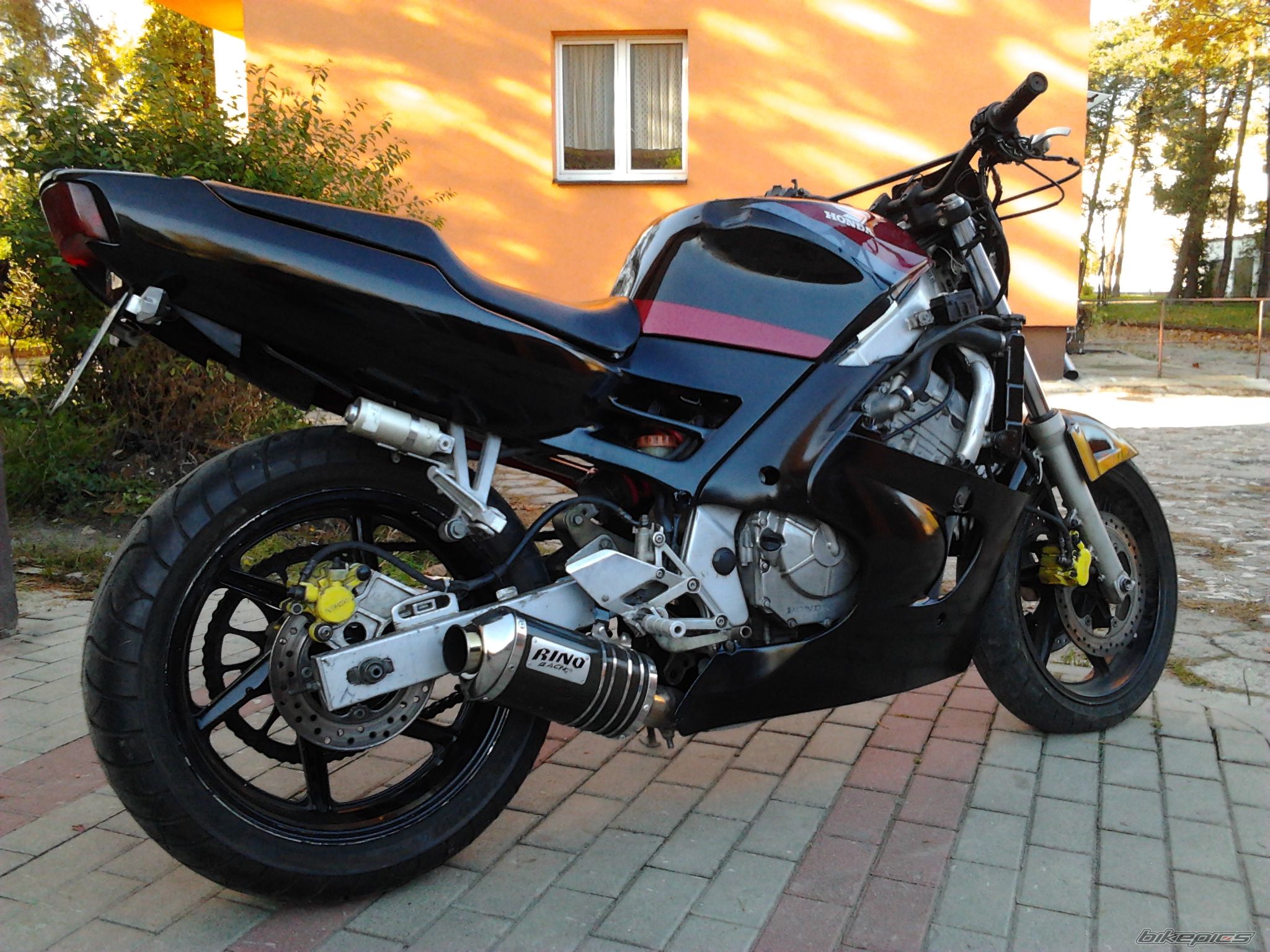 Photo 2560581