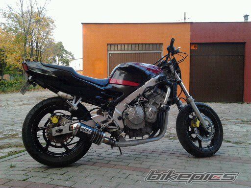 Photo 2560582