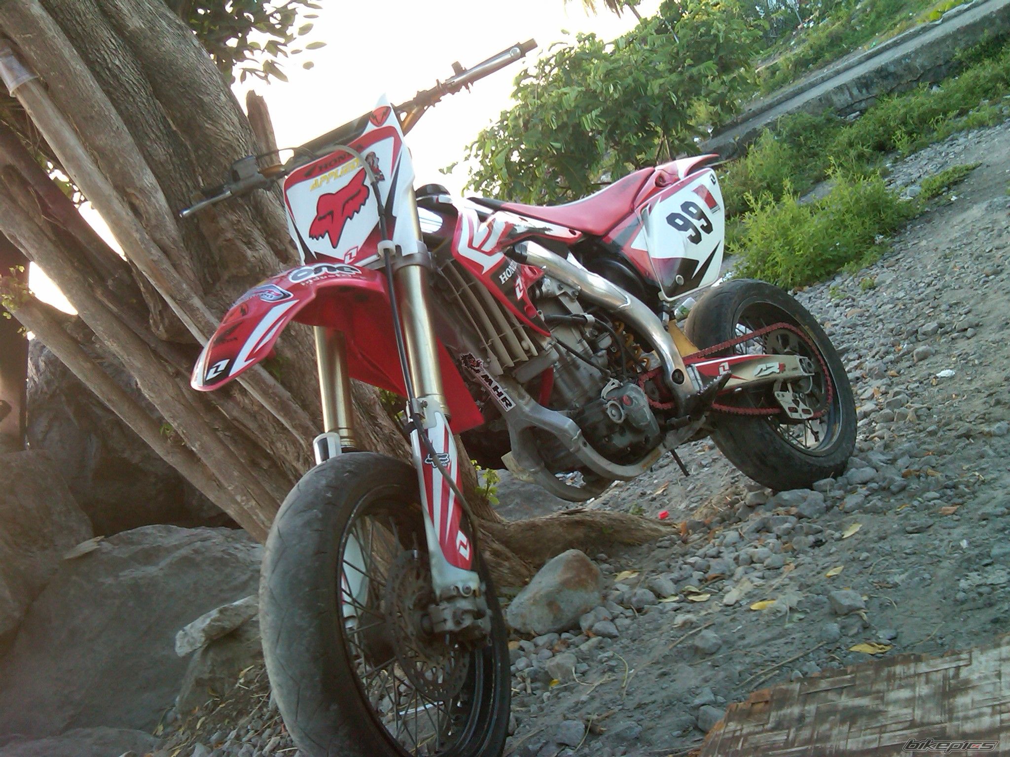 Photo 2560645