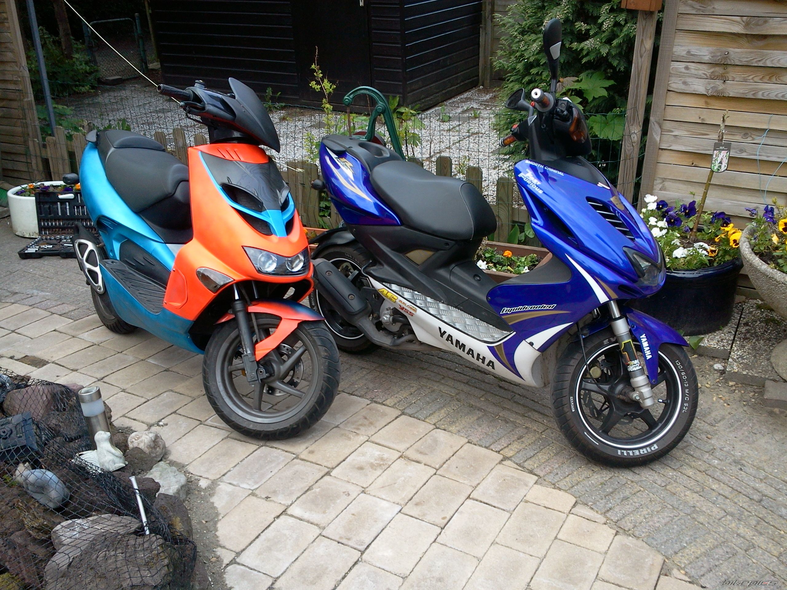Photo 2560677