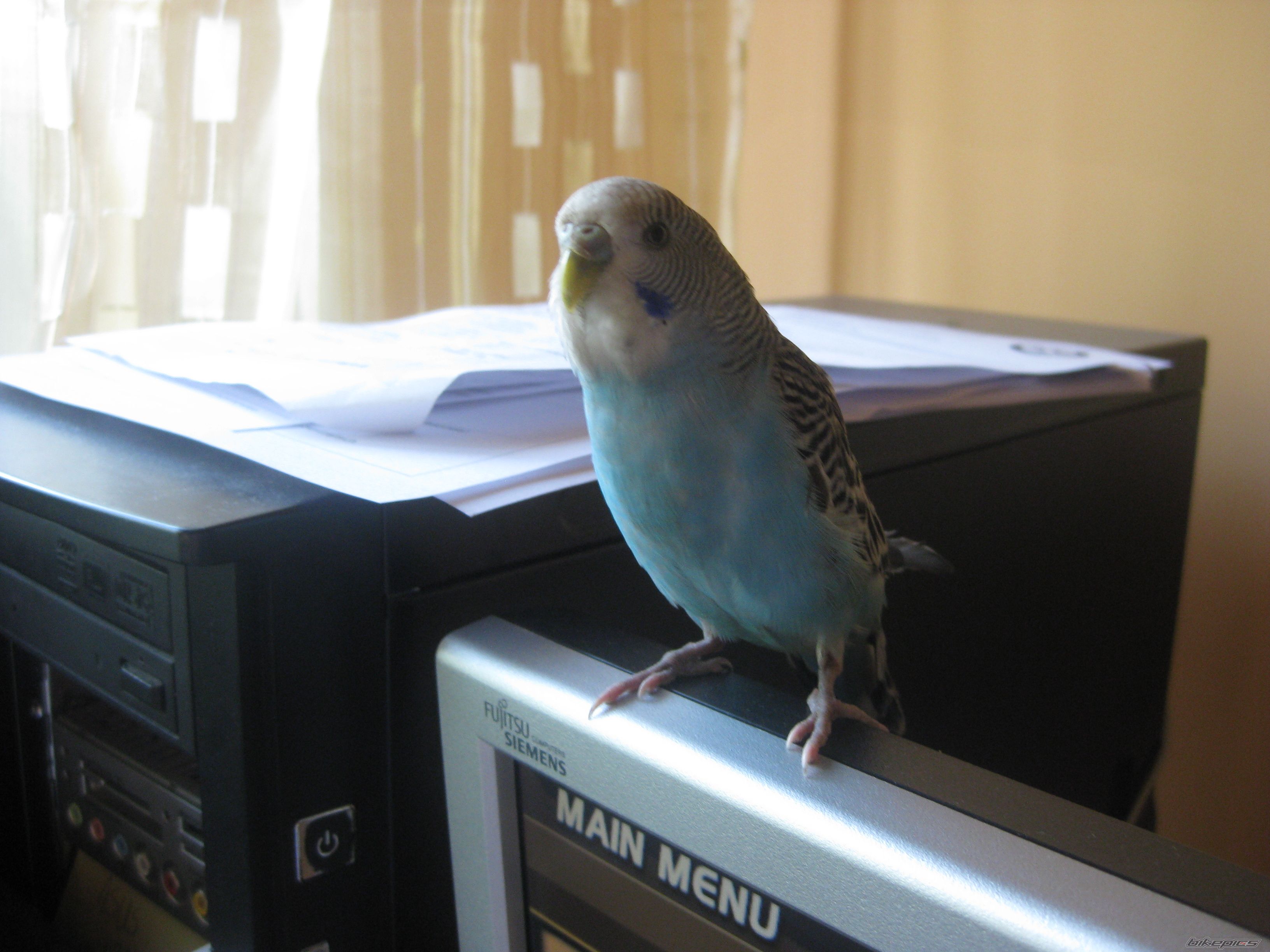 Photo 2560739