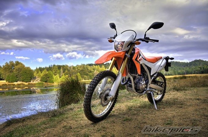 Photo 2560744