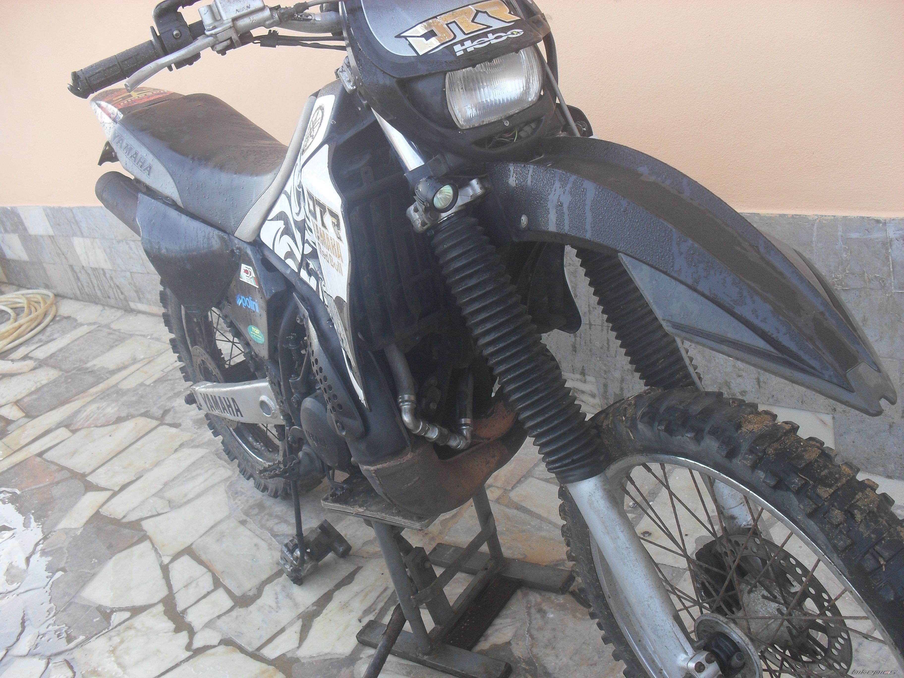 Photo 2560764