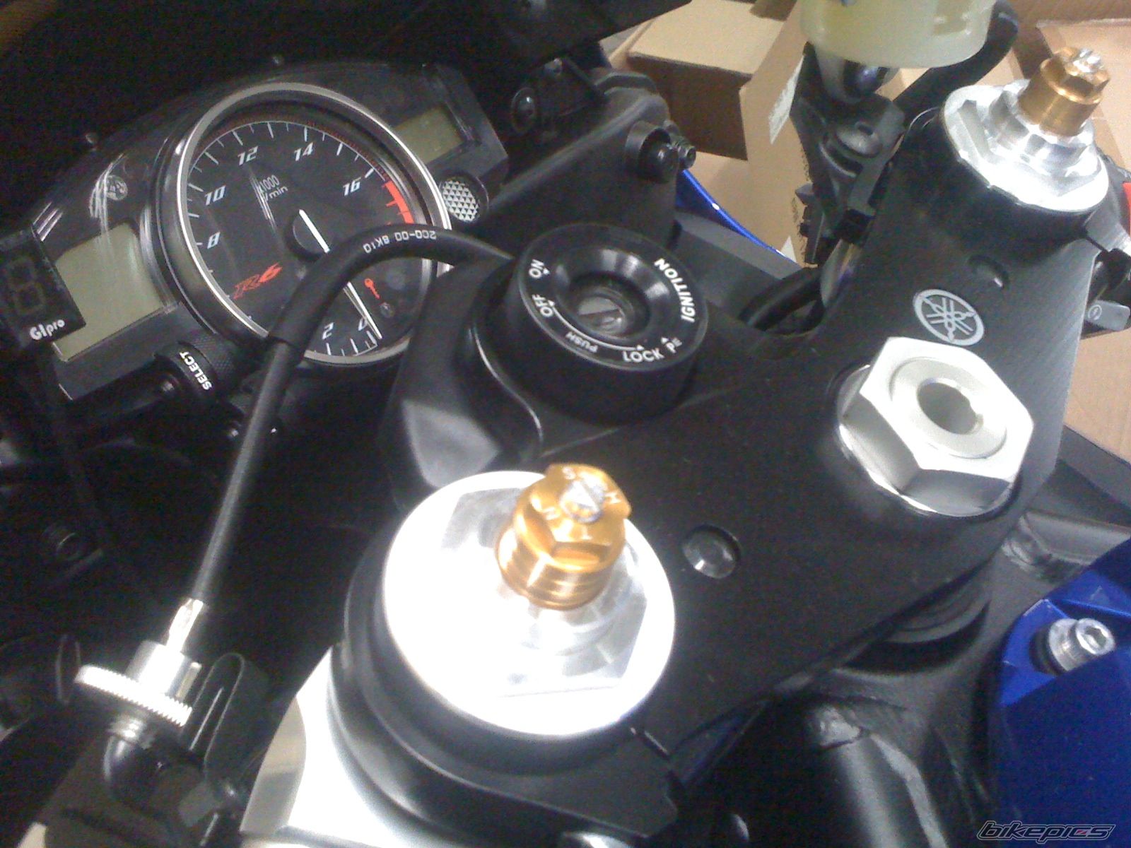 Photo 2560775