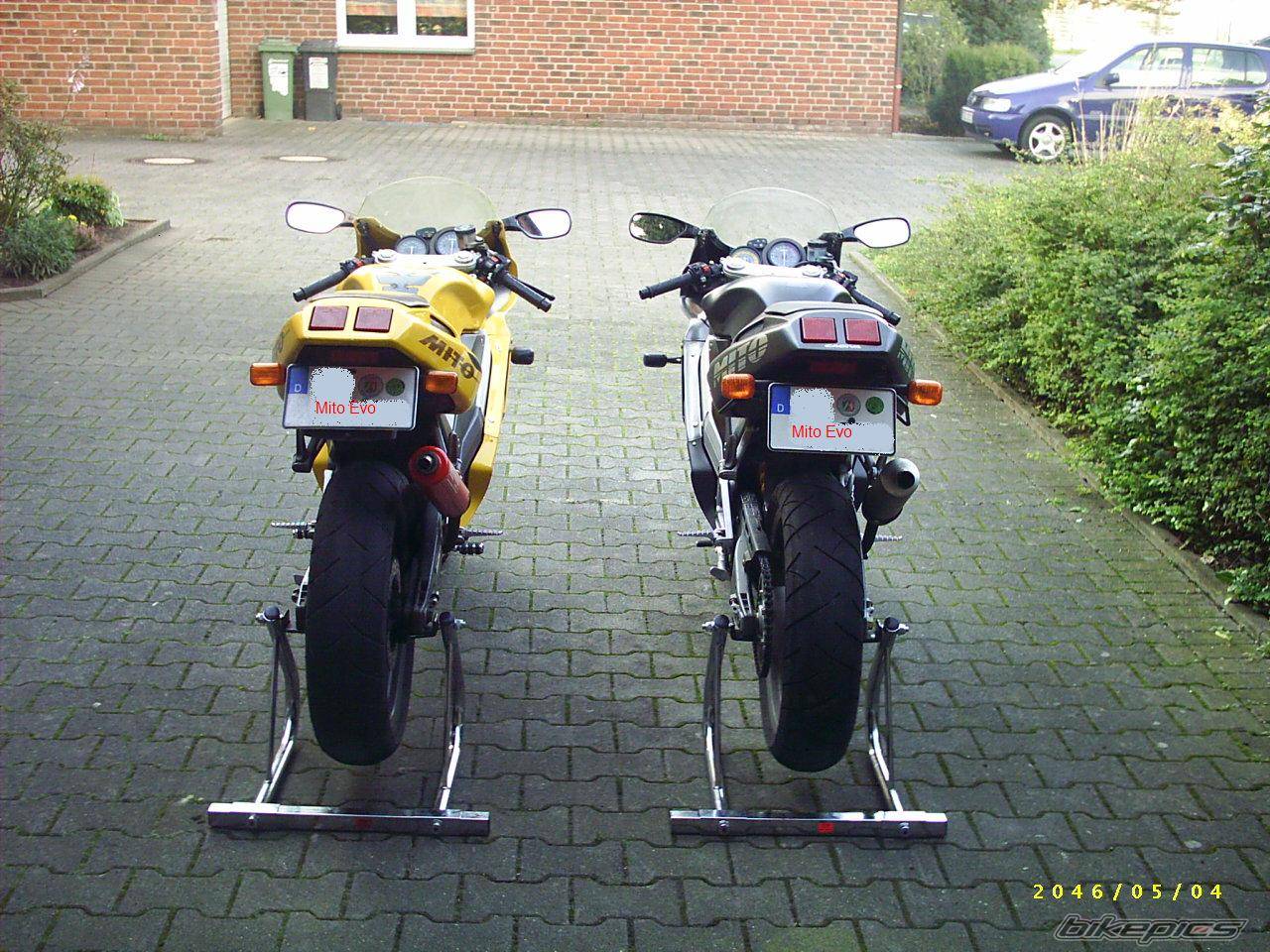 Photo 256081