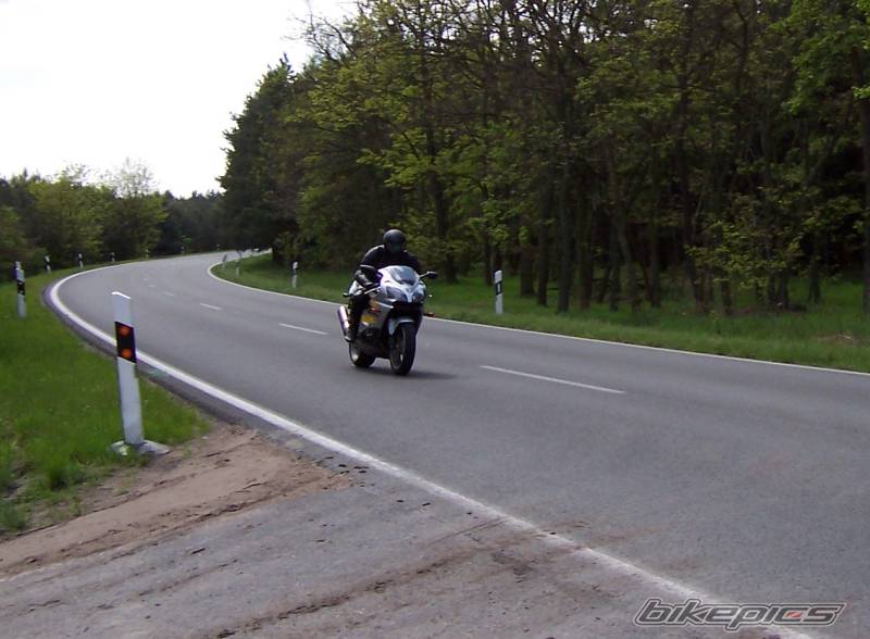 Photo 256083