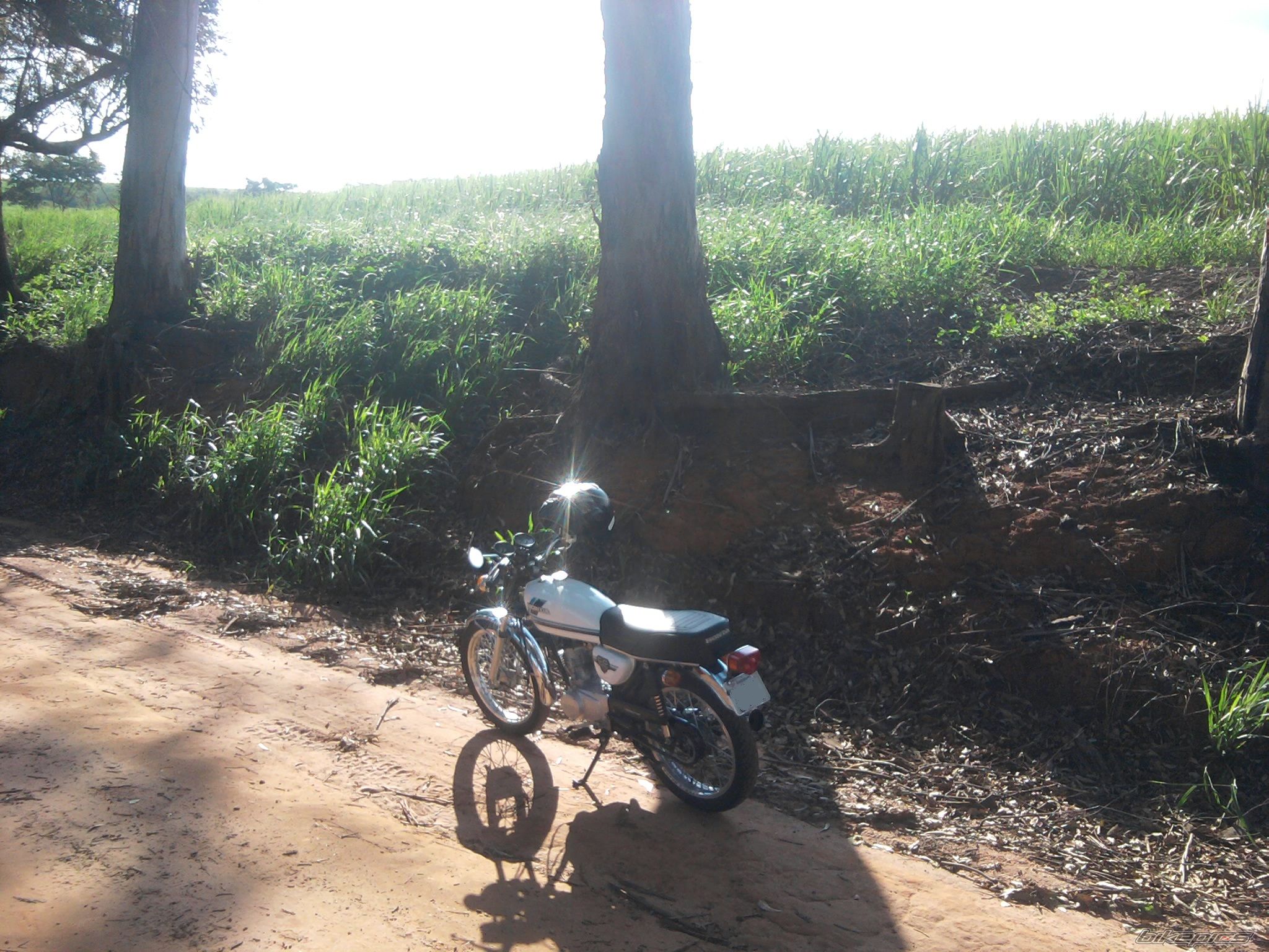 Photo 2560849