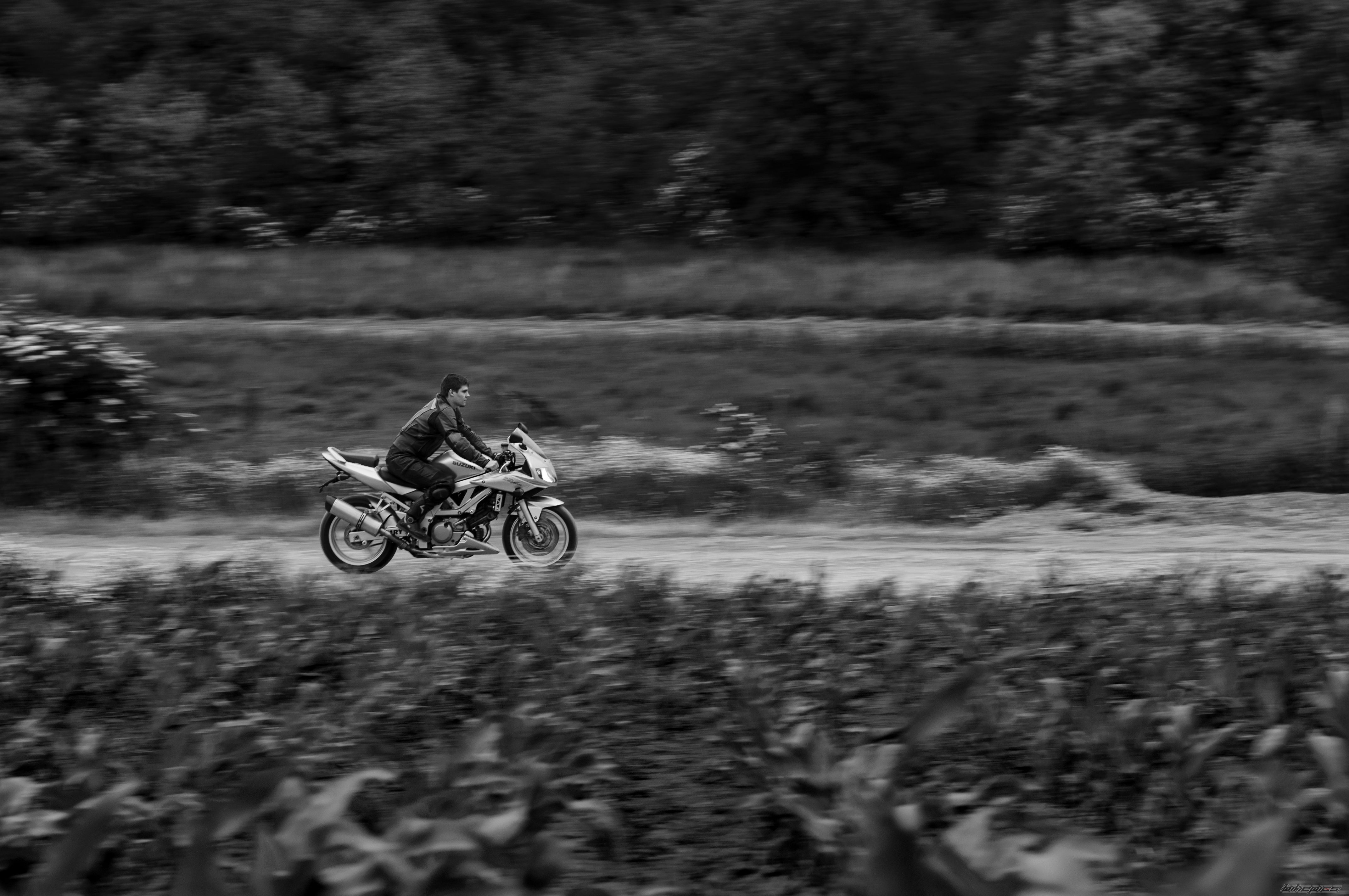 Photo 2560859