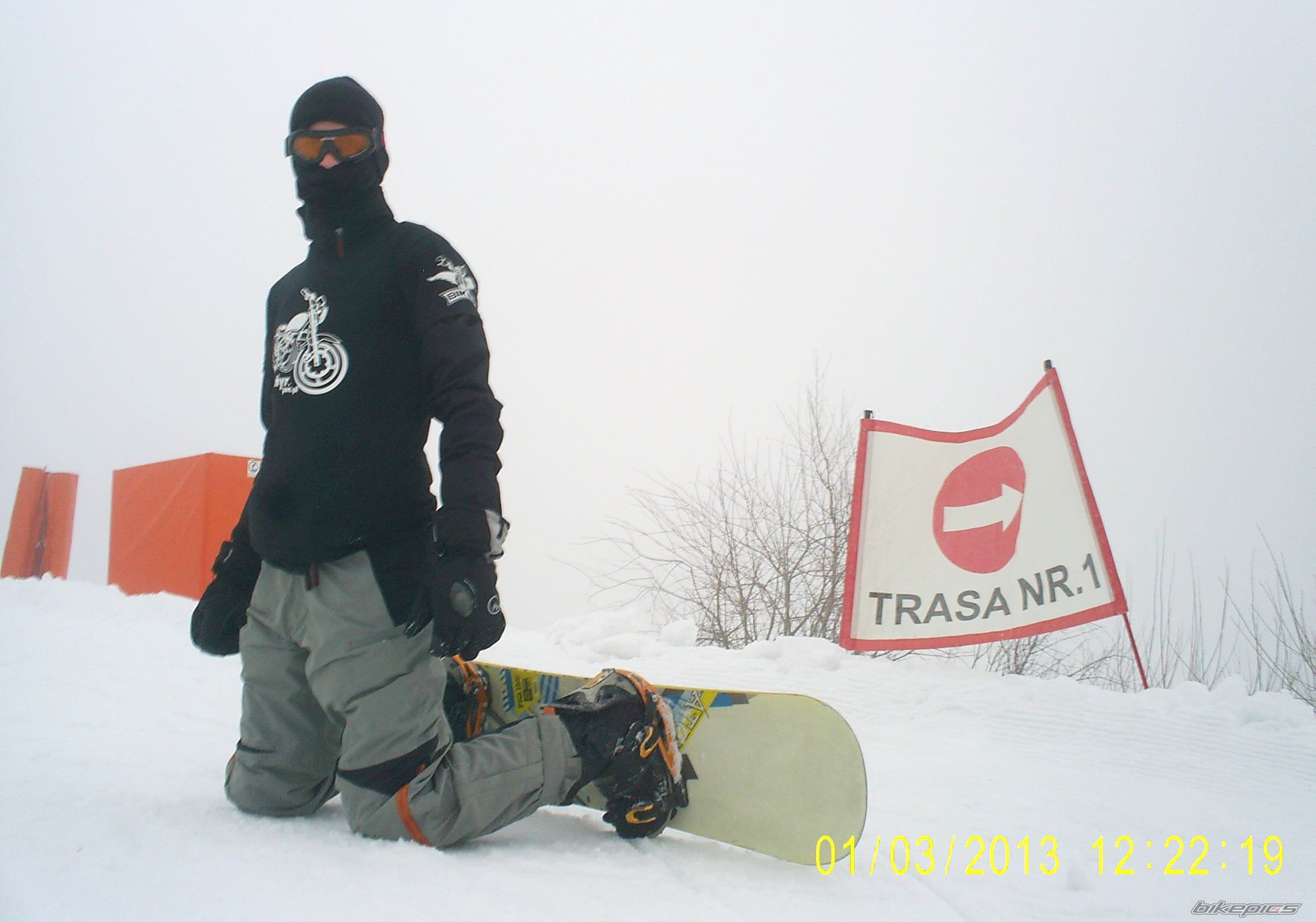 Photo 2560877