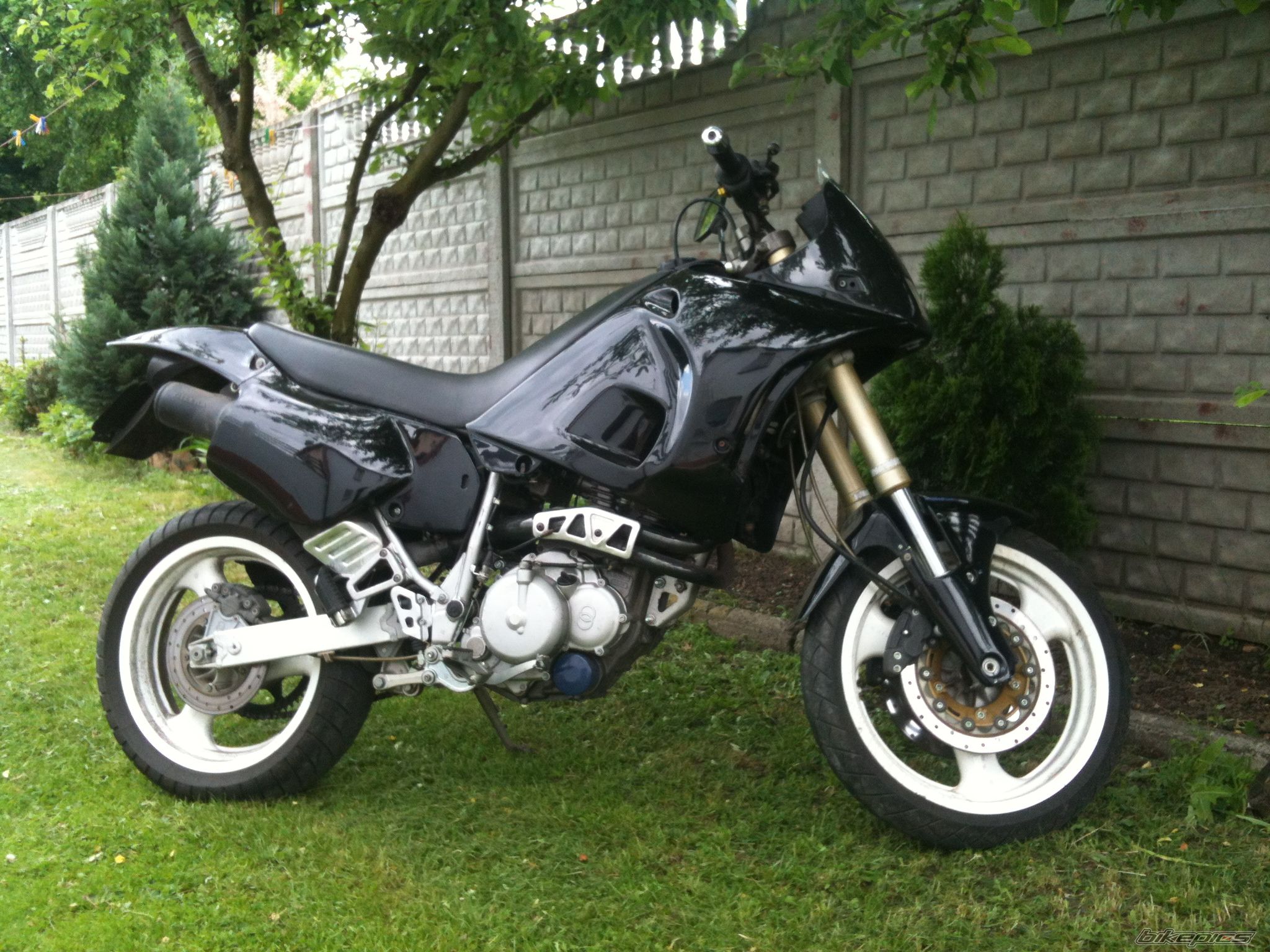 Photo 2561109