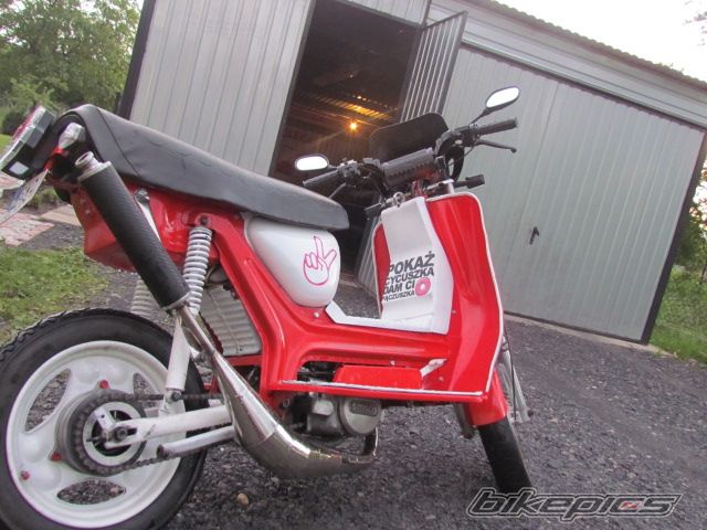 Photo 2561171