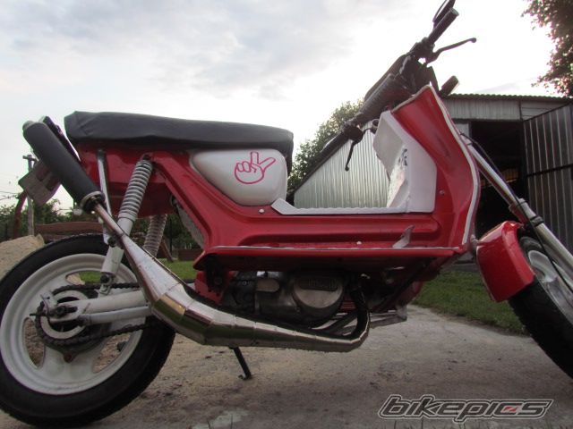 Photo 2561172