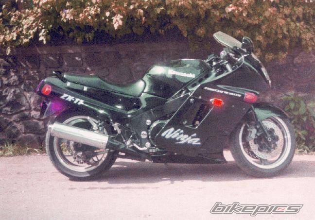 Photo 256131