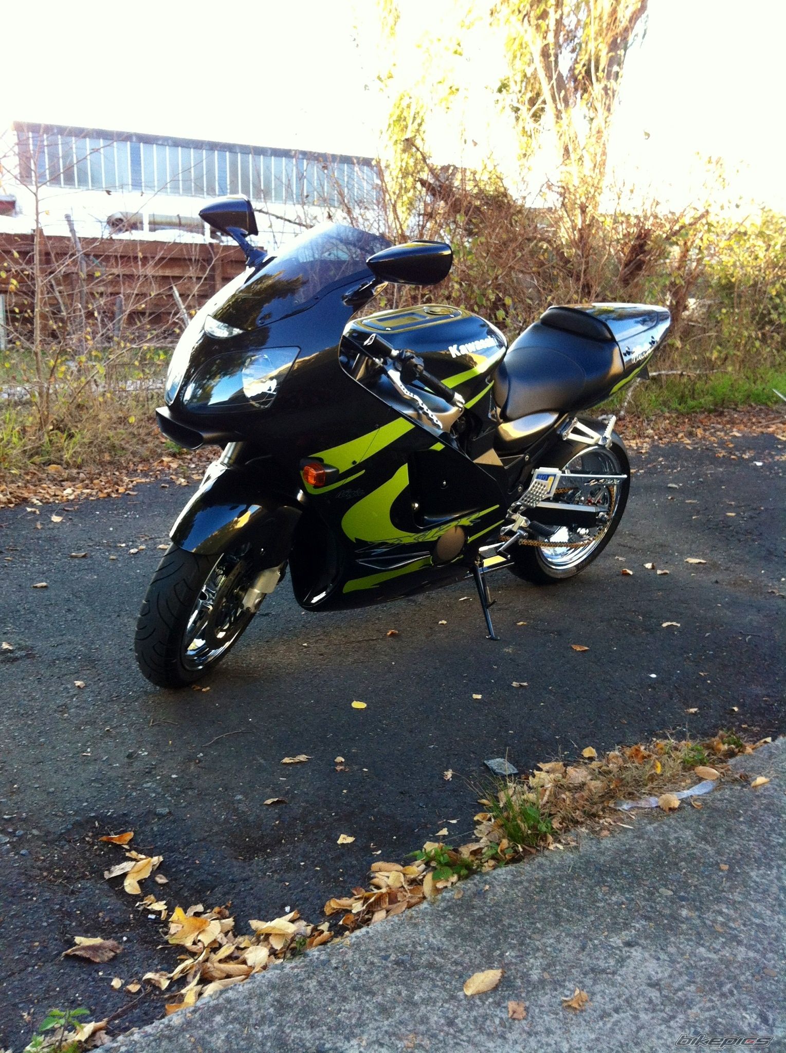 Photo 2561399