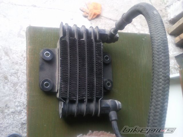 Photo 2561408