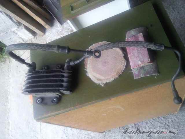 Photo 2561410