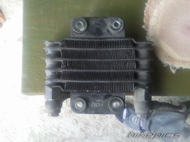 Photo 2561411
