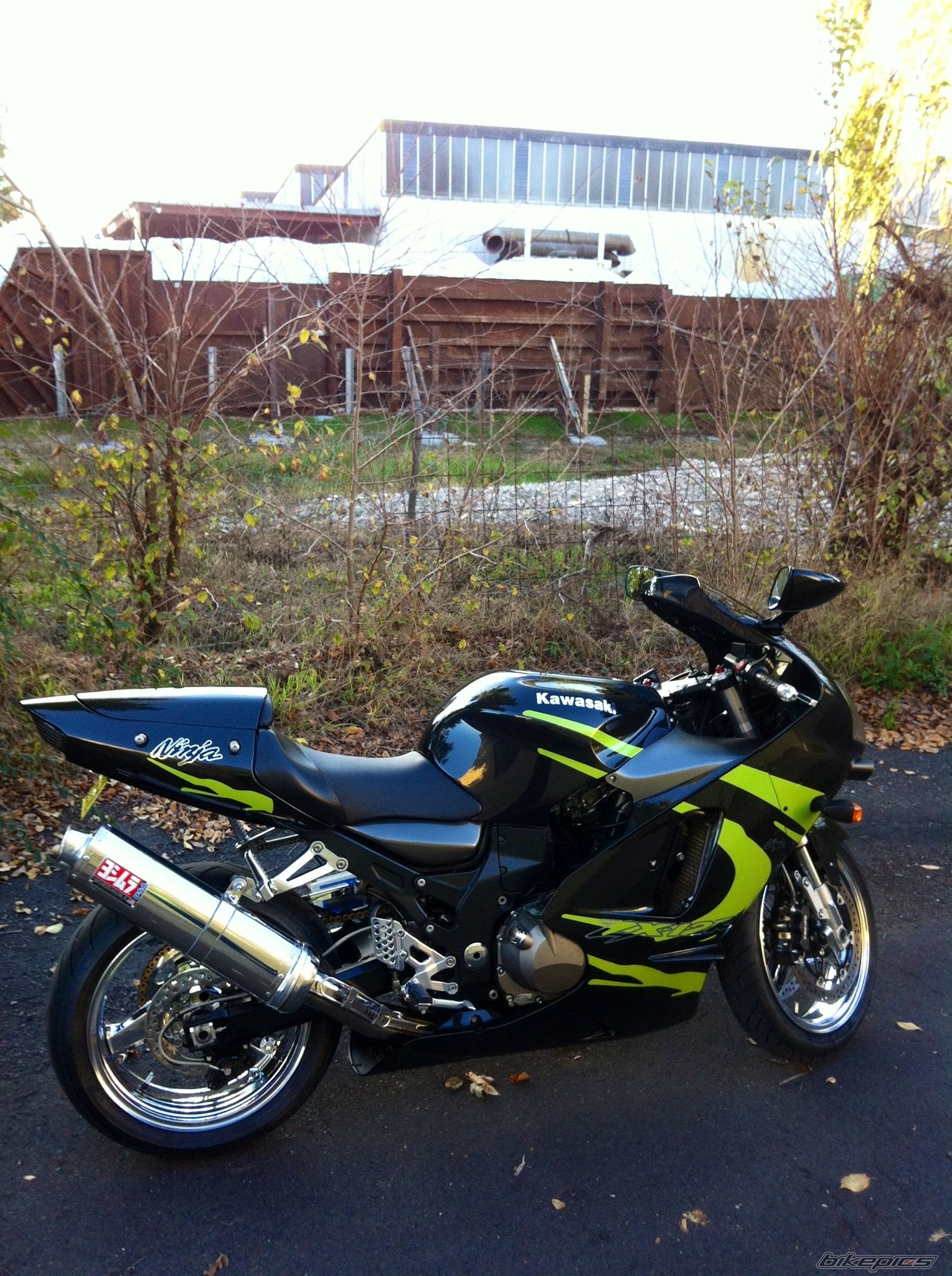 Photo 2561414