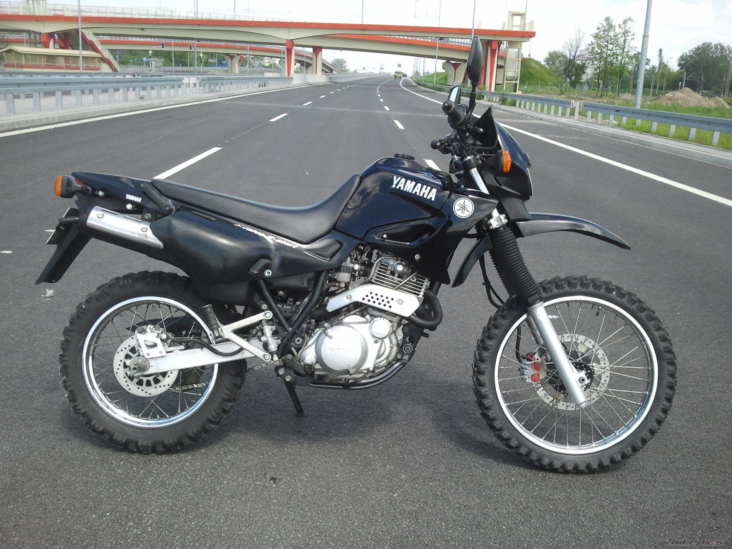 Photo 2561498