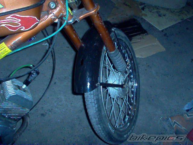 Photo 256153