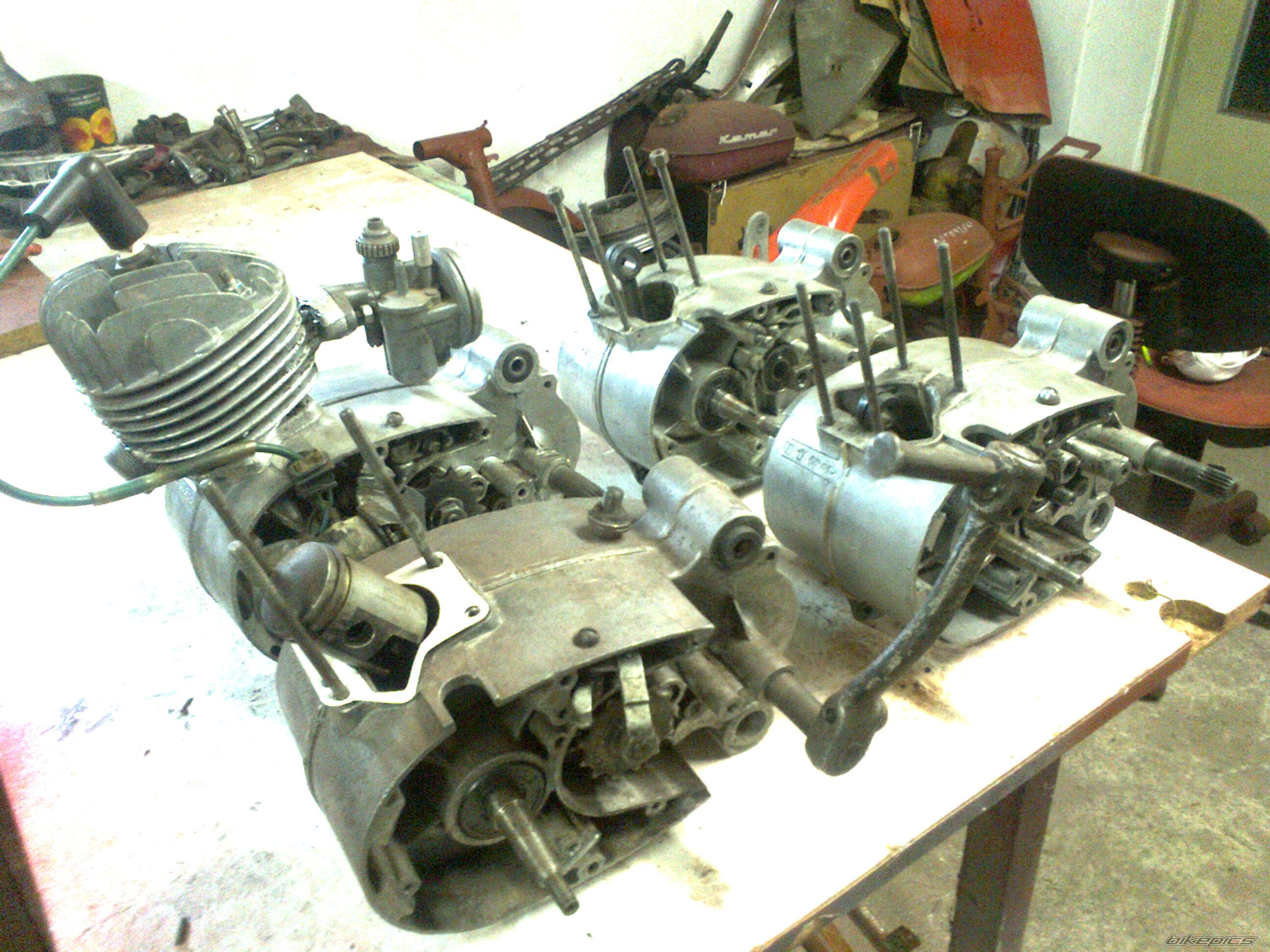 Photo 2561540