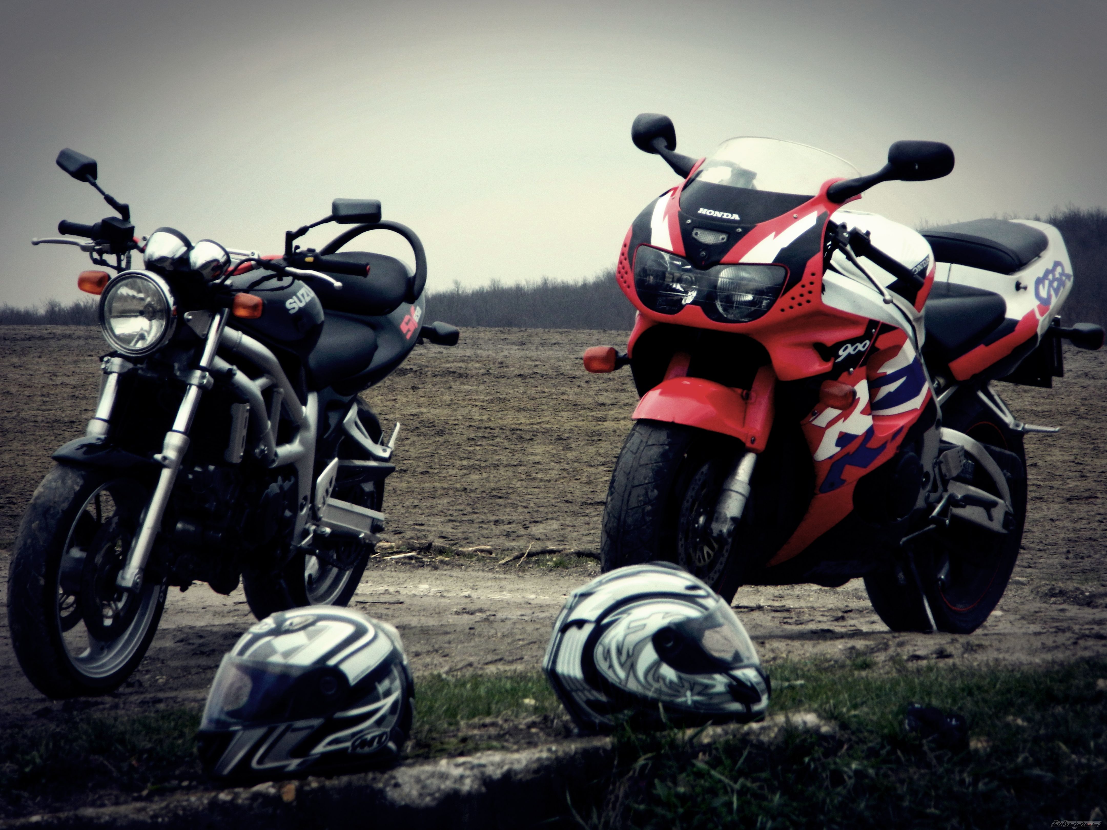 Photo 2561542