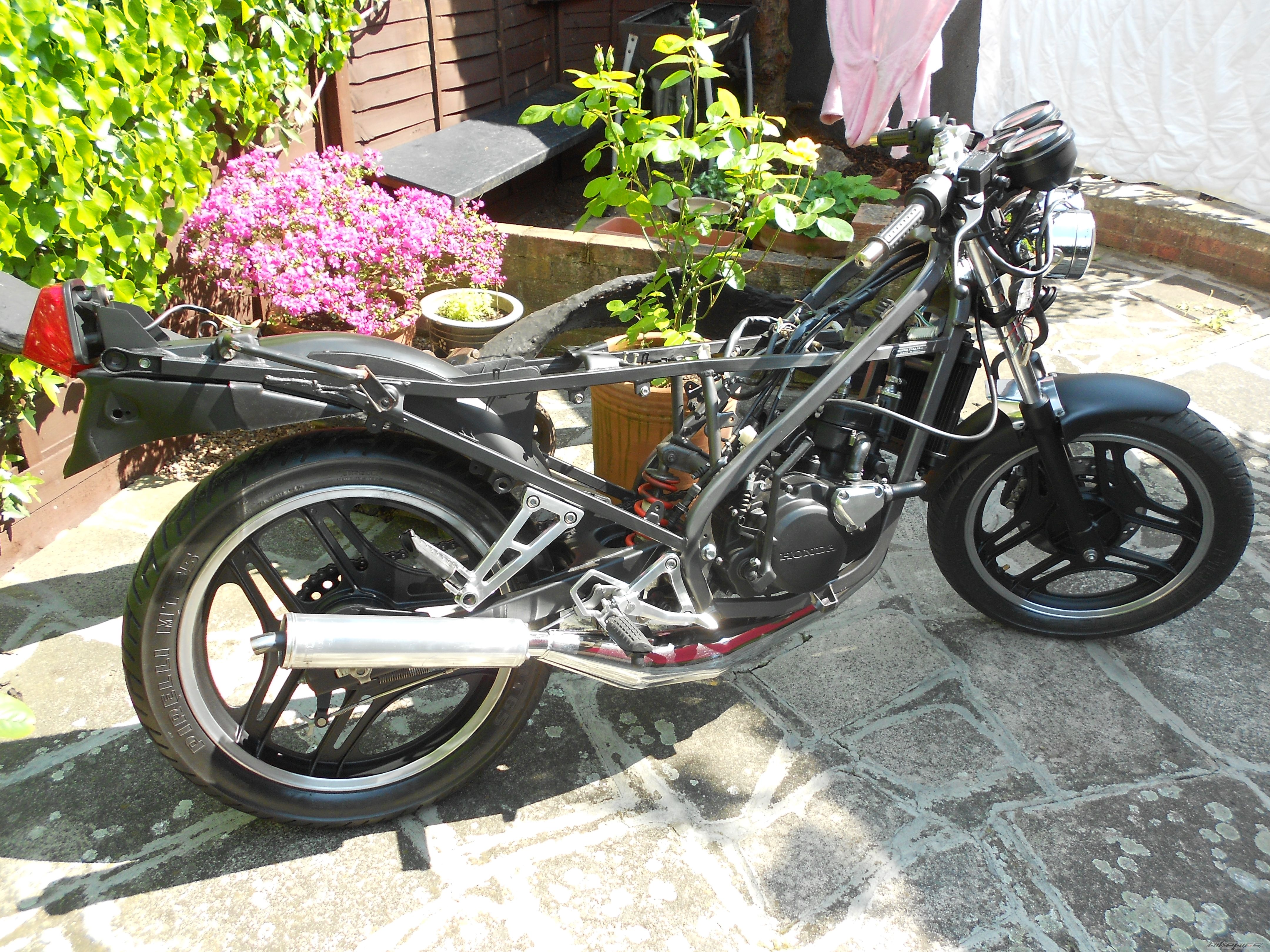 Photo 2561546