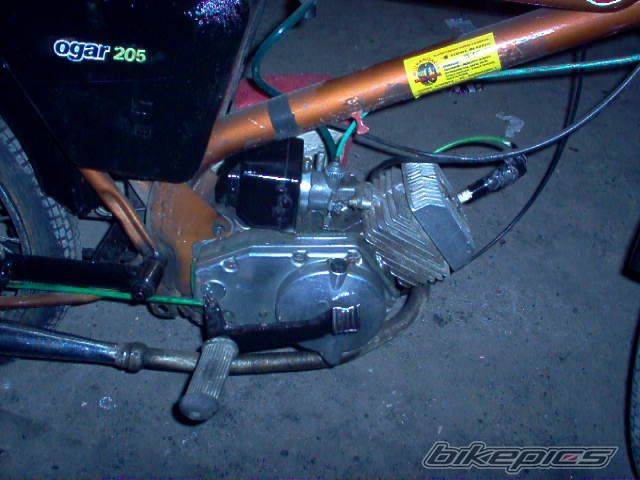 Photo 256157