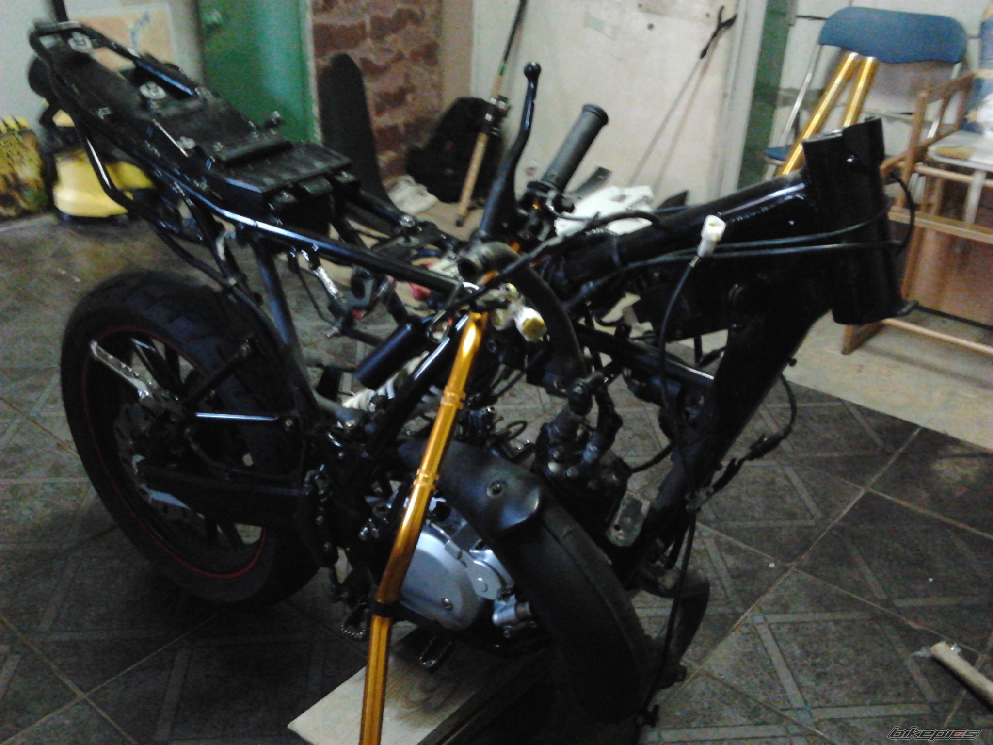 Photo 2561587