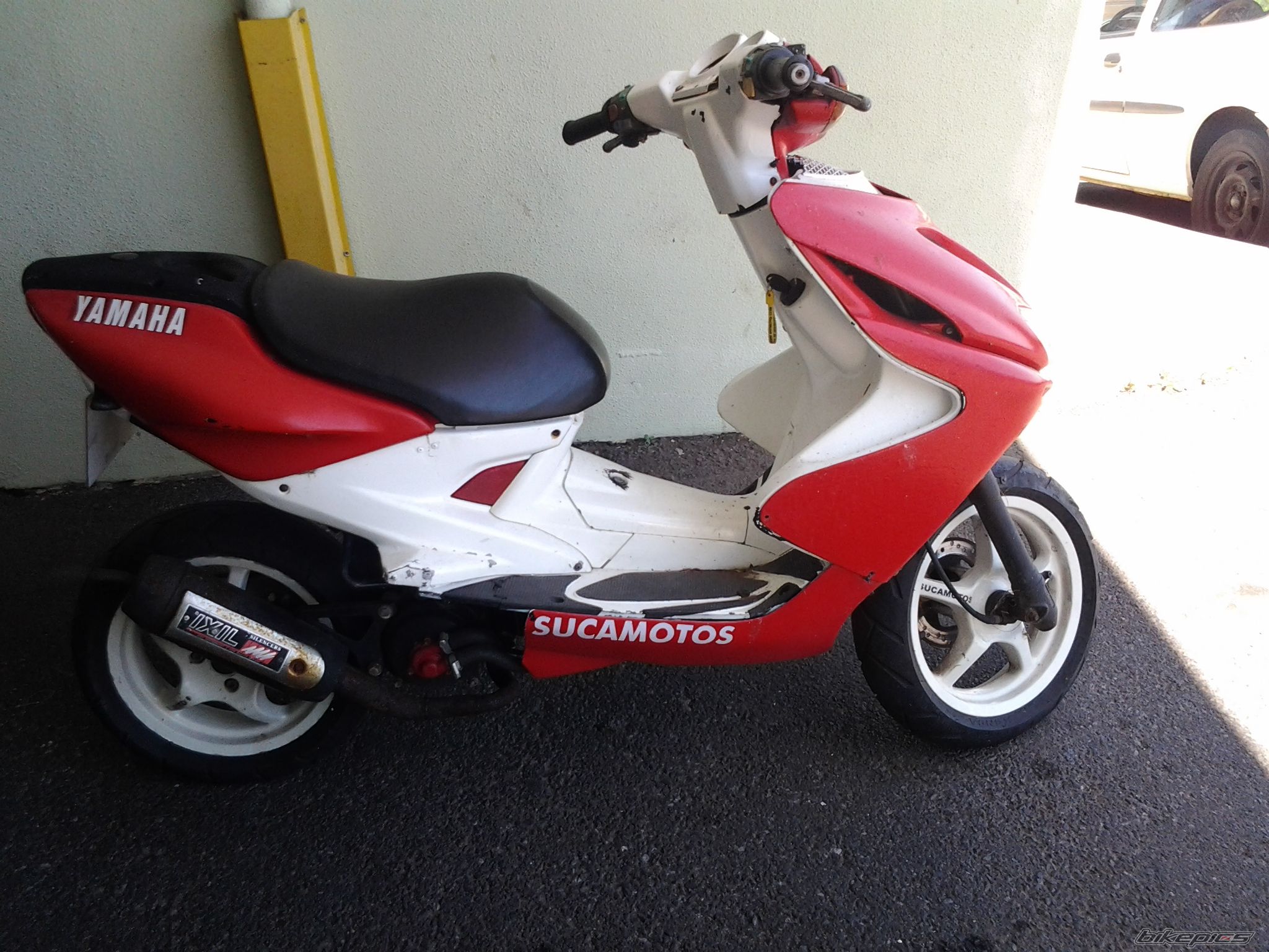 Photo 2561610