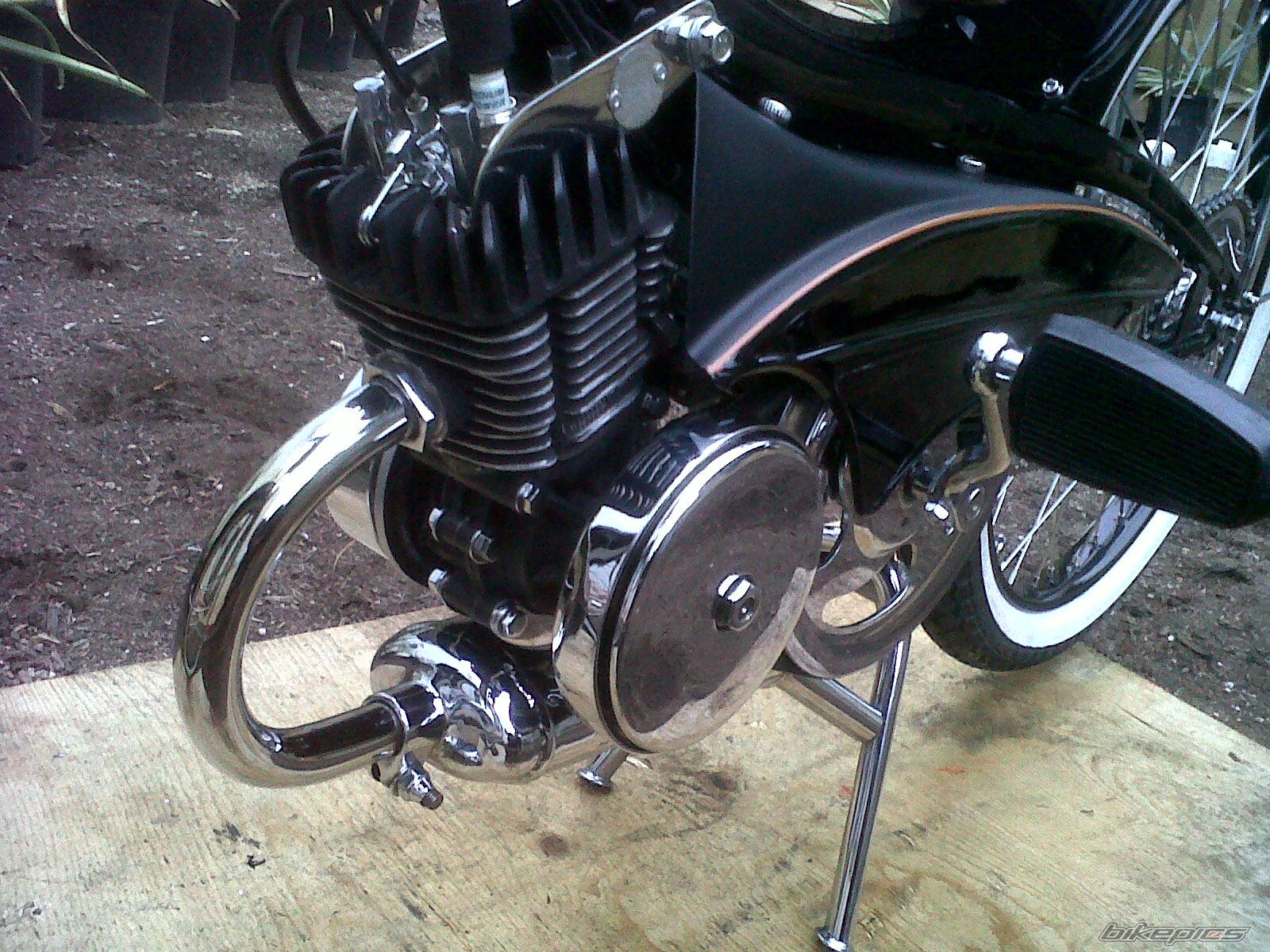 Photo 2561633