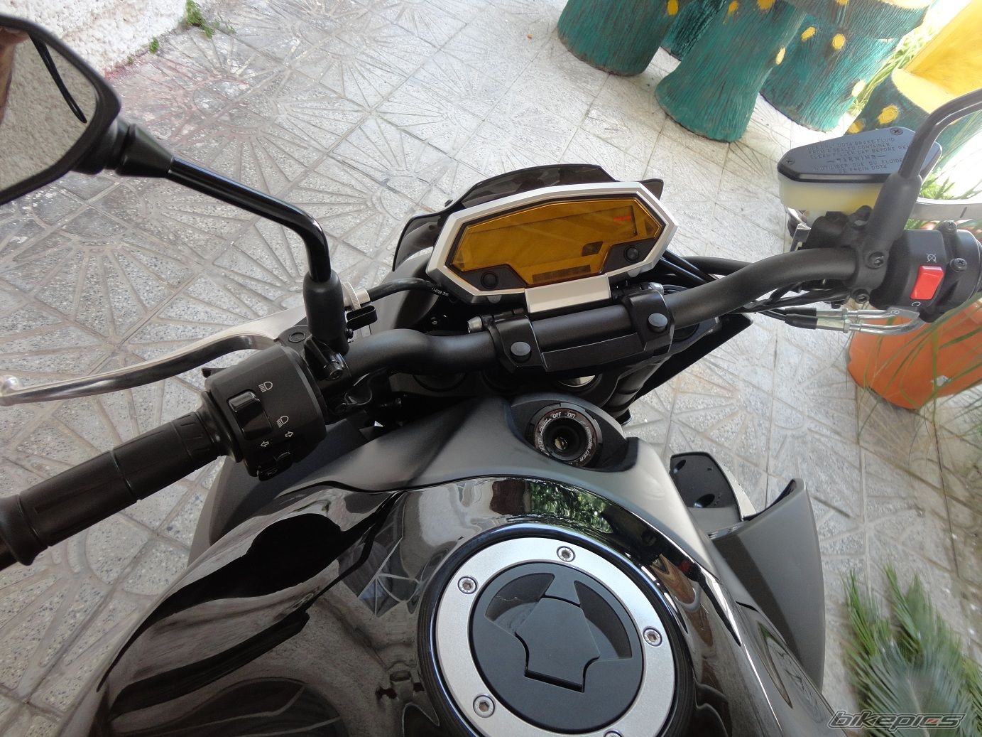 Photo 2561697