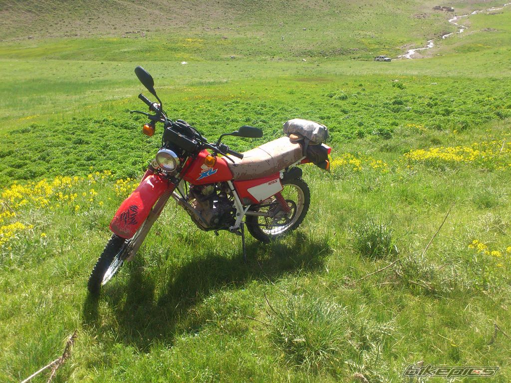 Photo 2561708