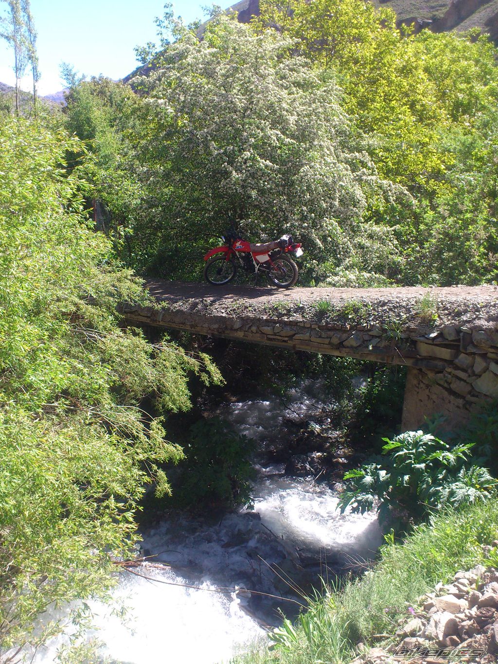 Photo 2561726