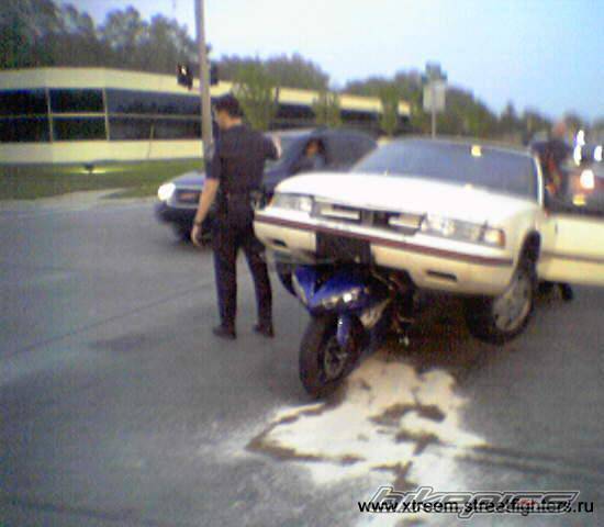 Photo 256175