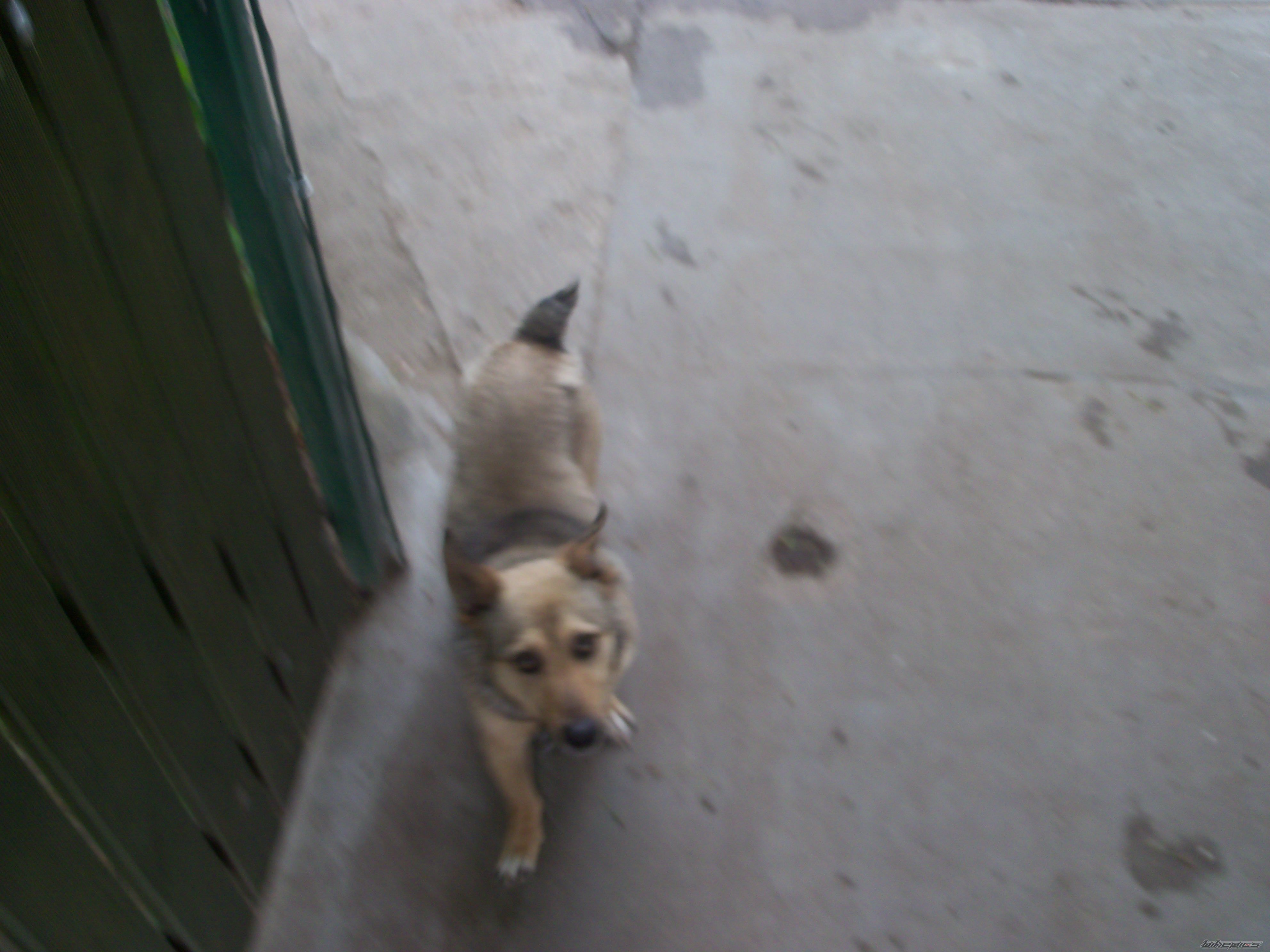 Photo 2561797