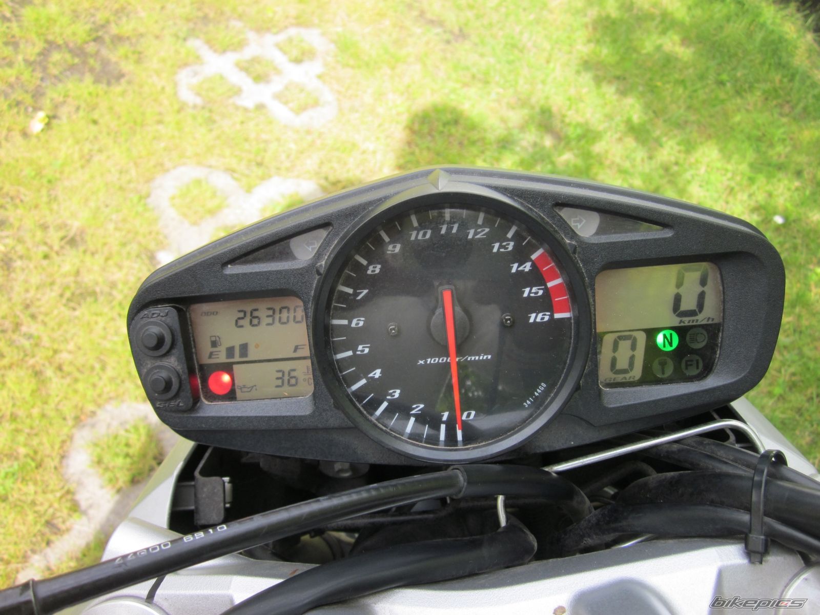 Photo 2561814