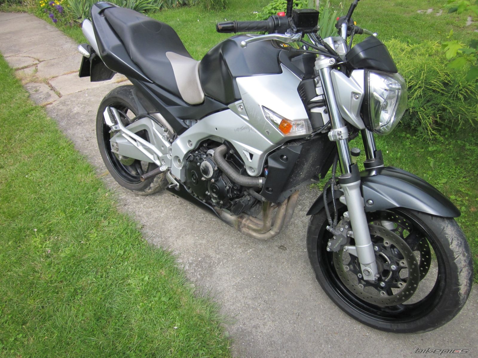 Photo 2561815