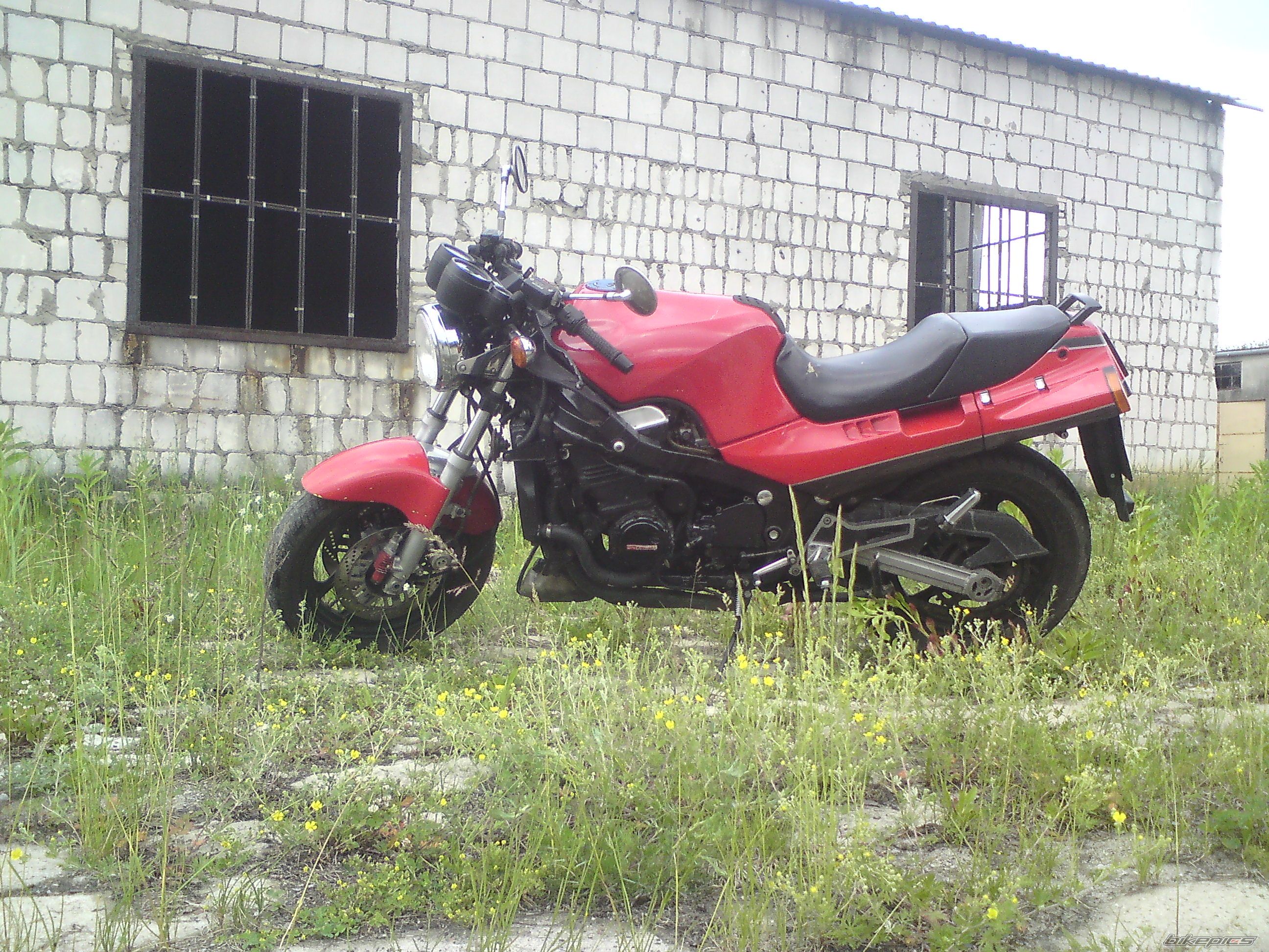 Photo 2561819