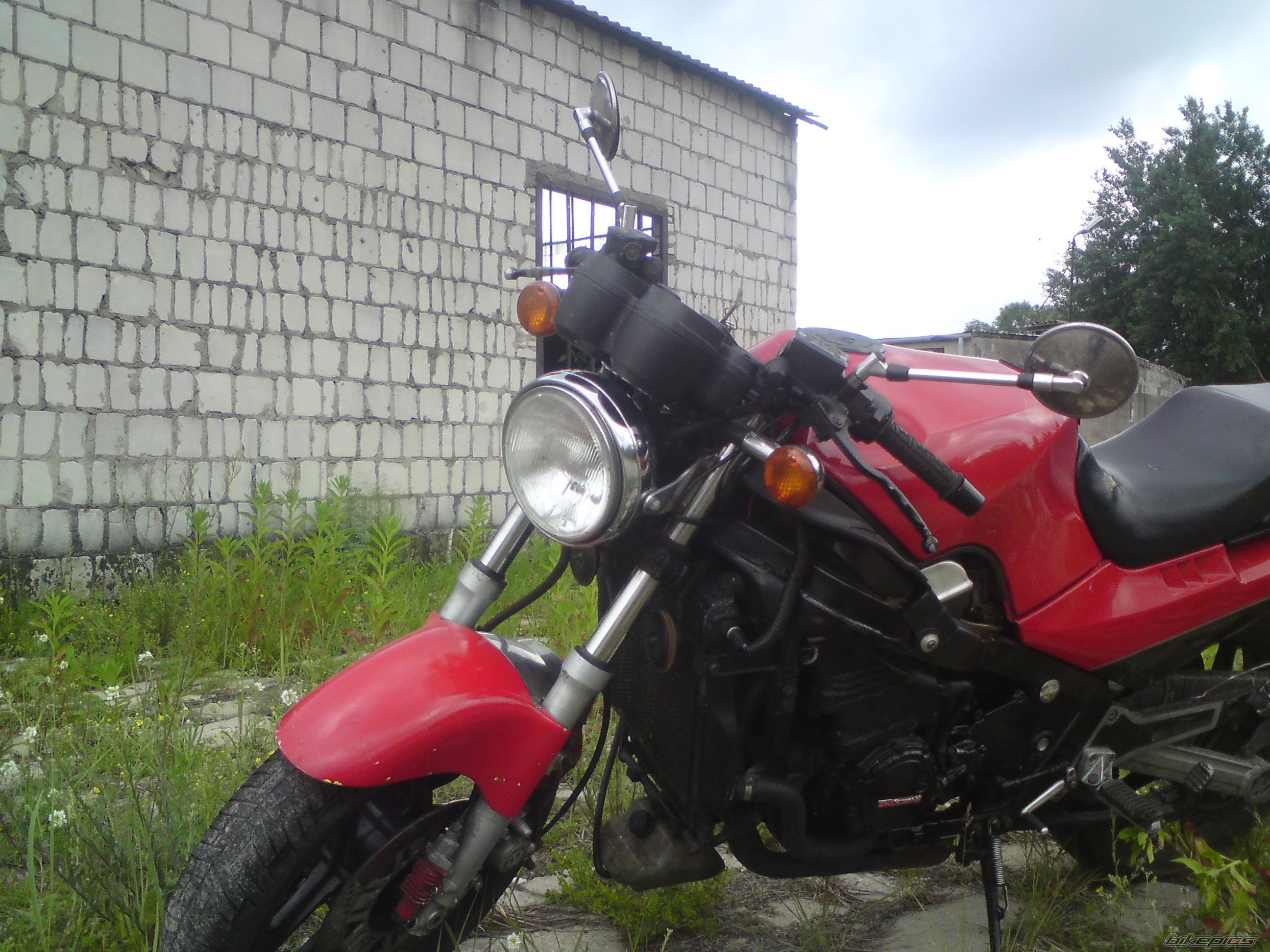 Photo 2561822