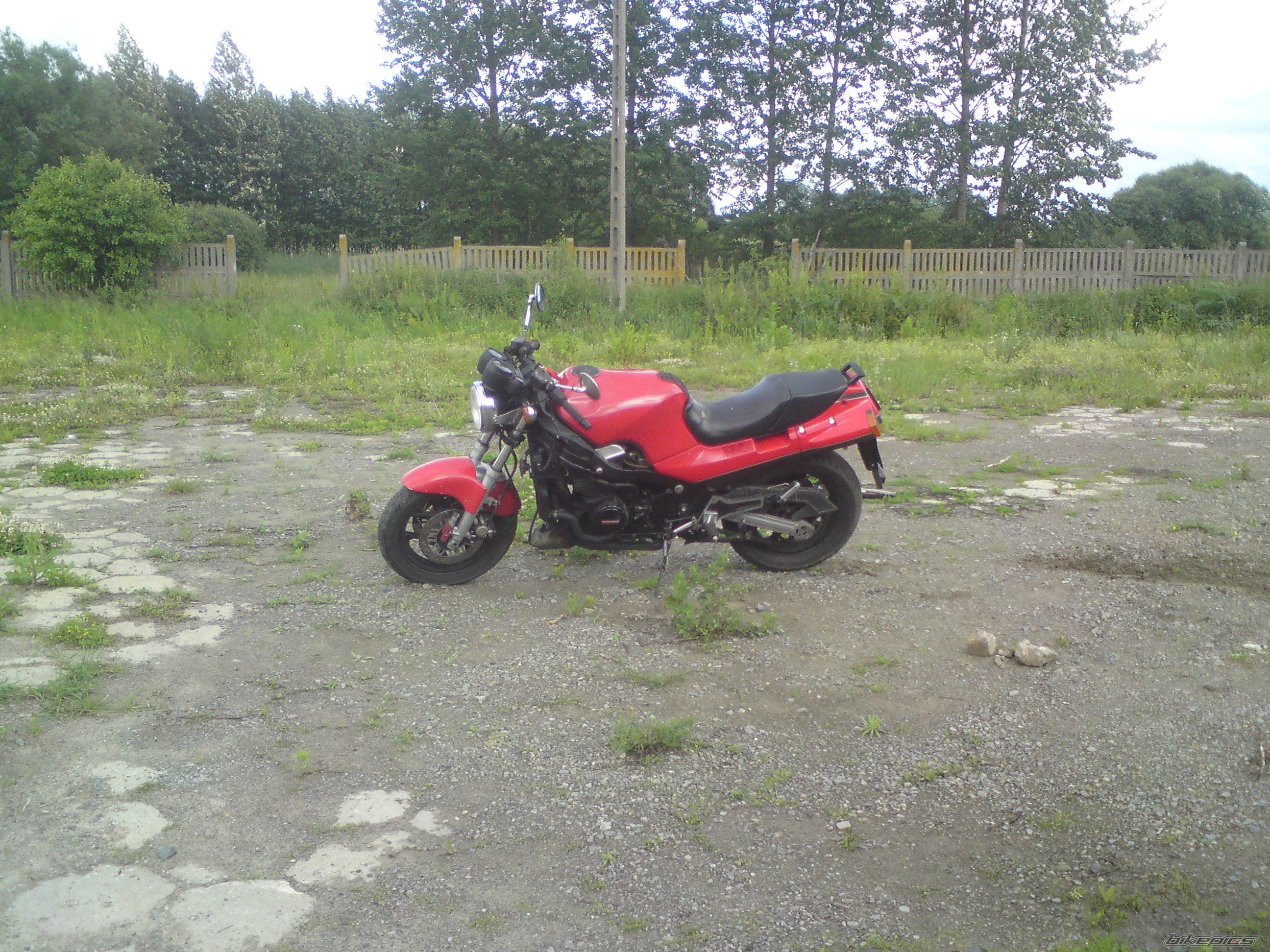 Photo 2561824