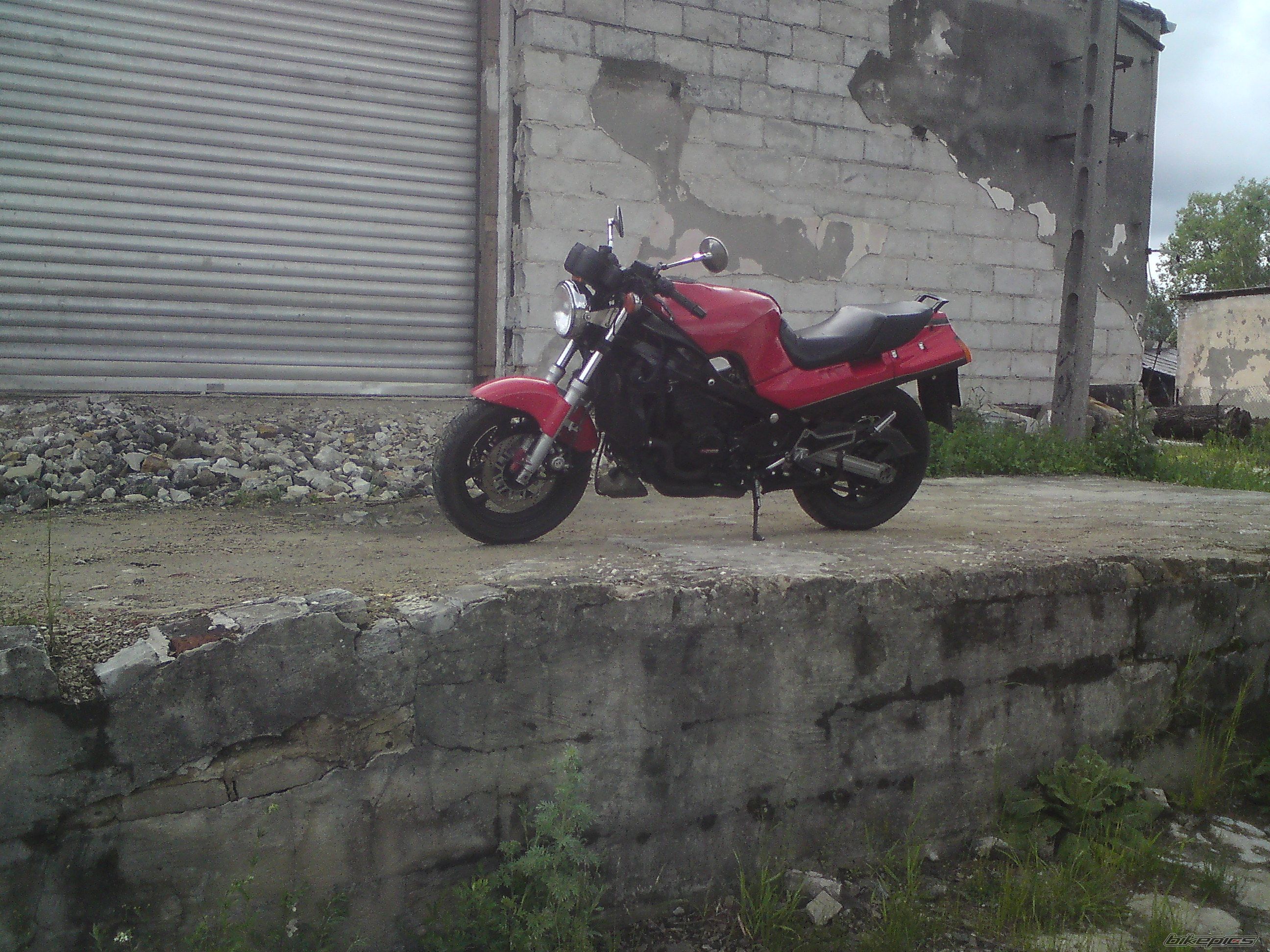Photo 2561828