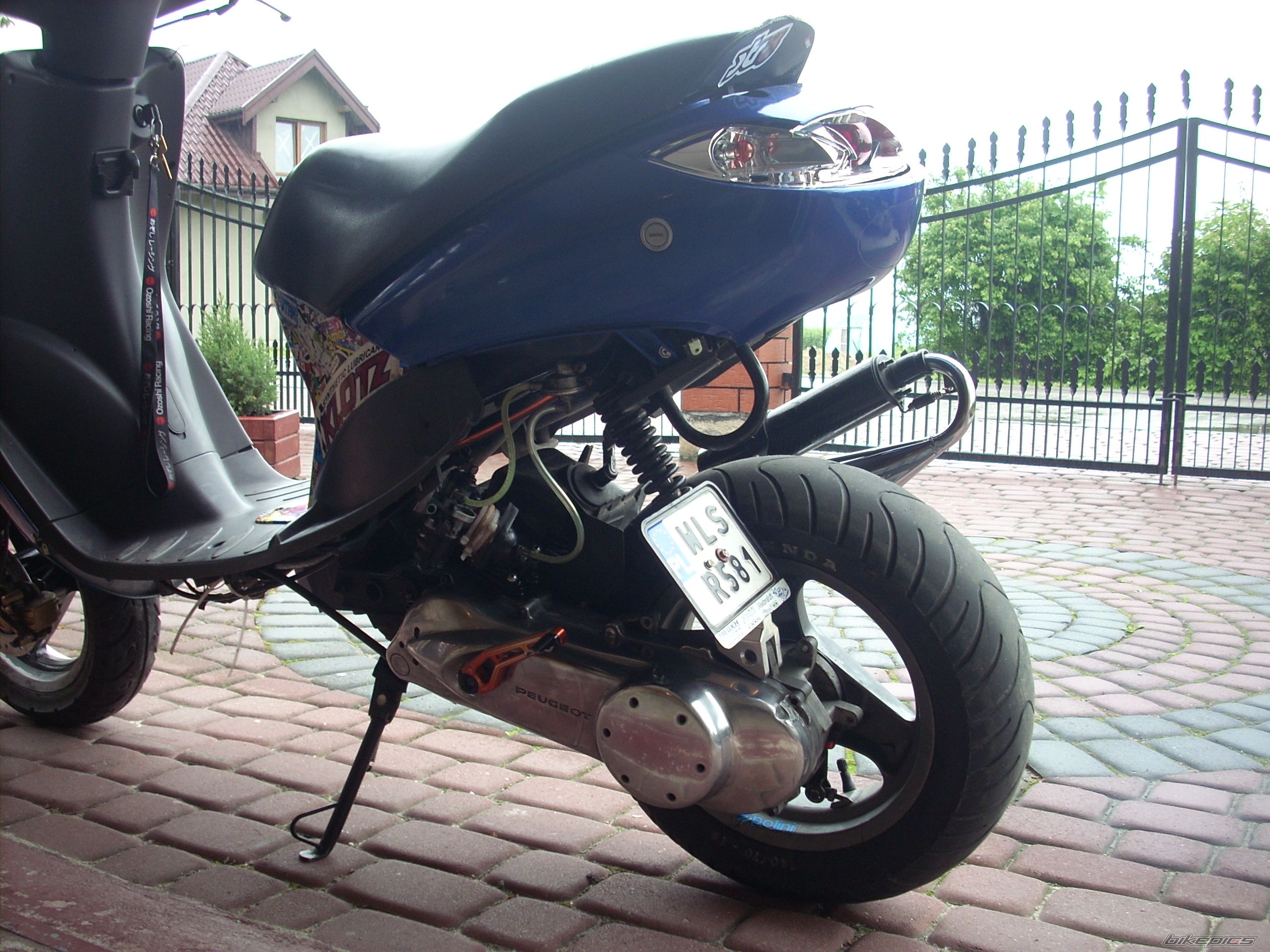 Photo 2561829