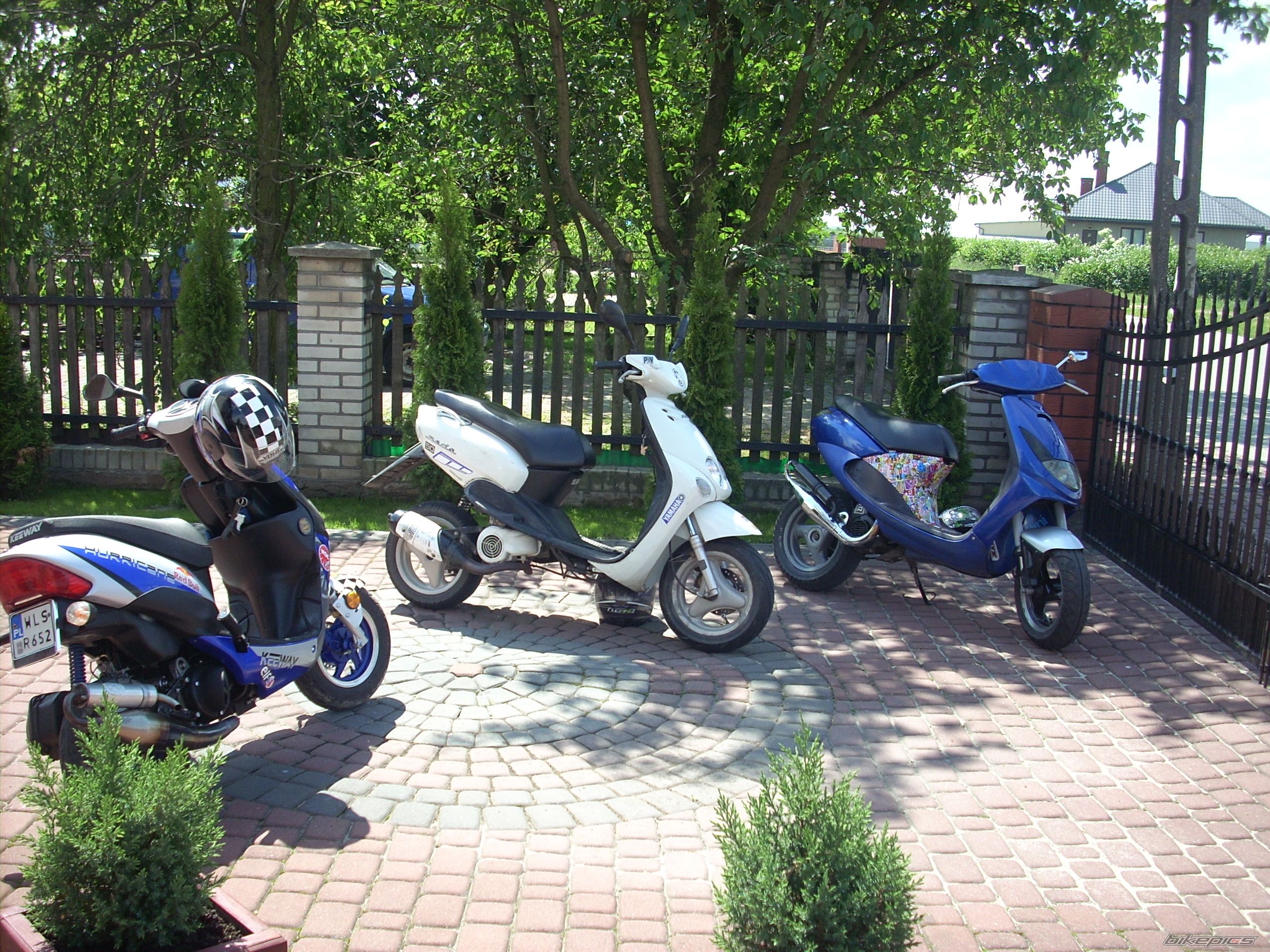 Photo 2561831