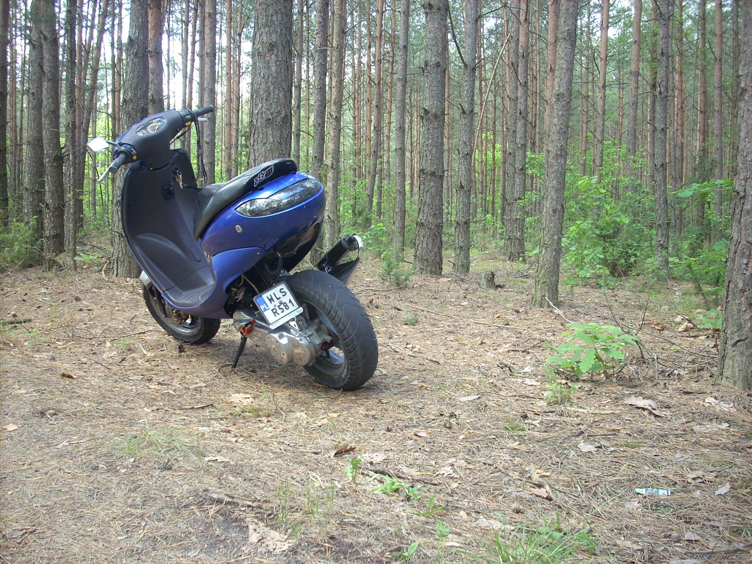 Photo 2561832