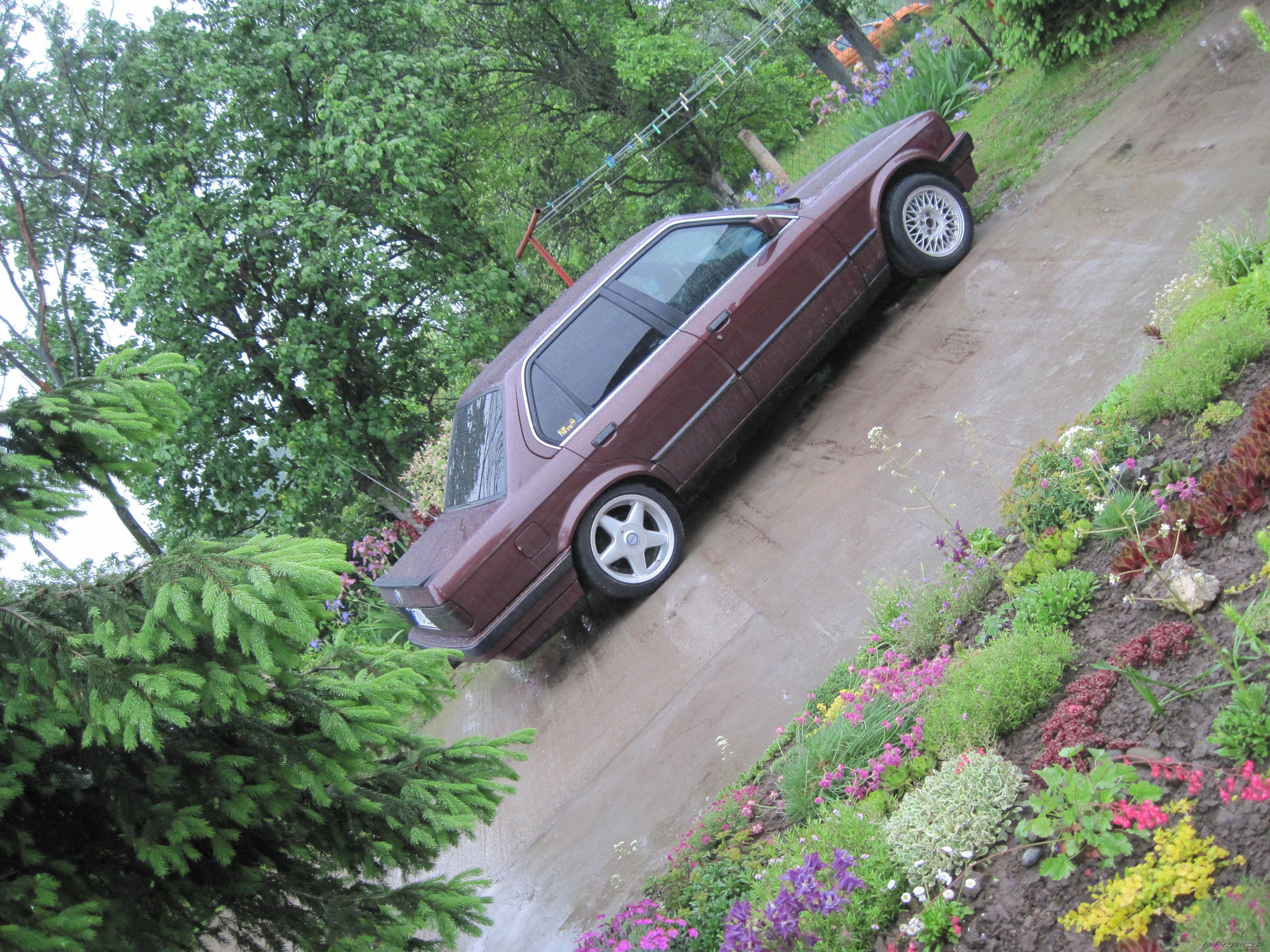 Photo 2561865