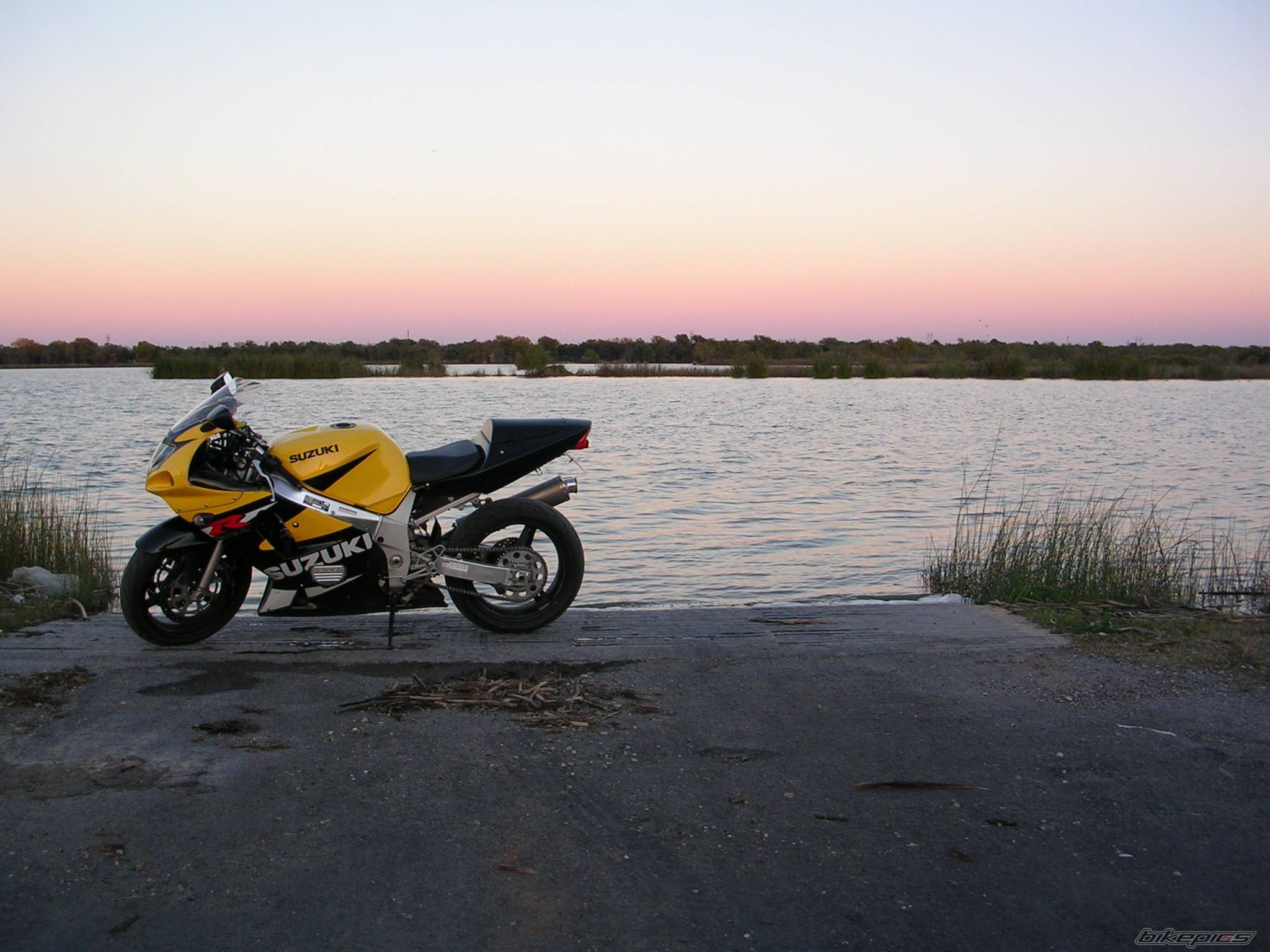 Photo 256187
