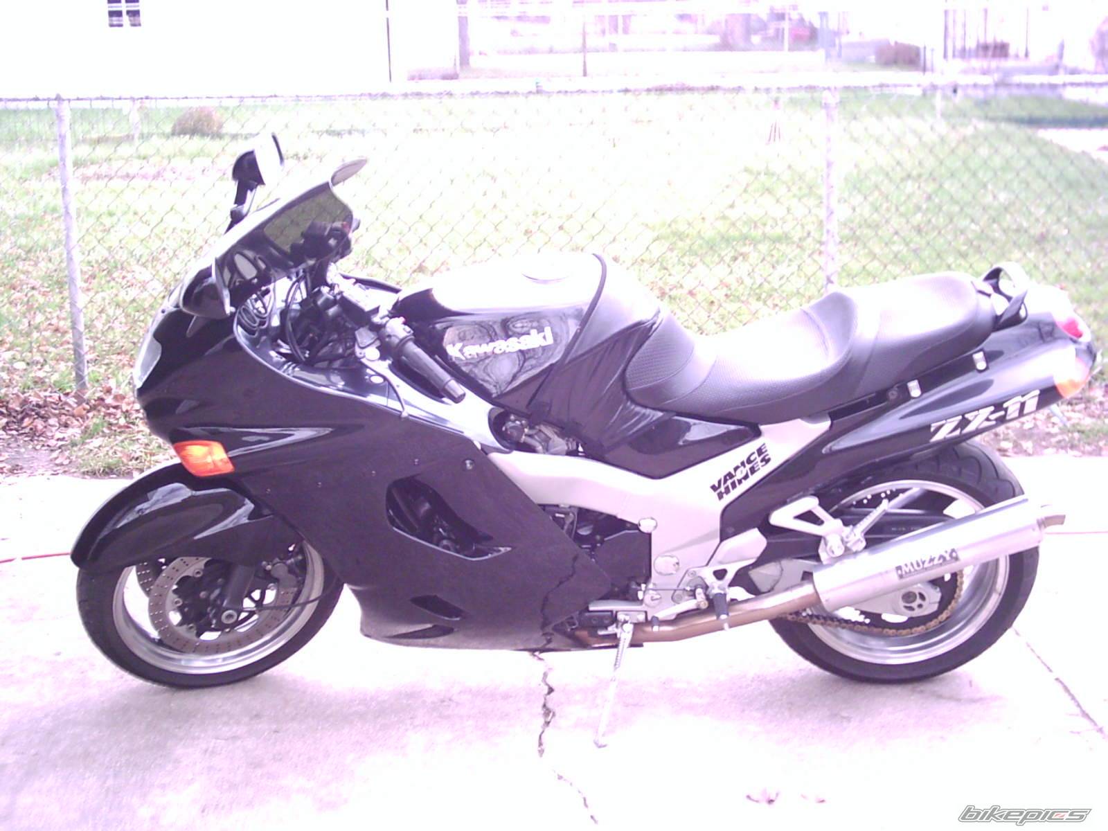 Photo 256190