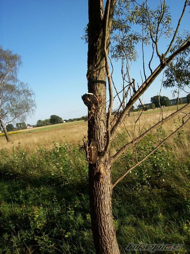 Photo 2562020
