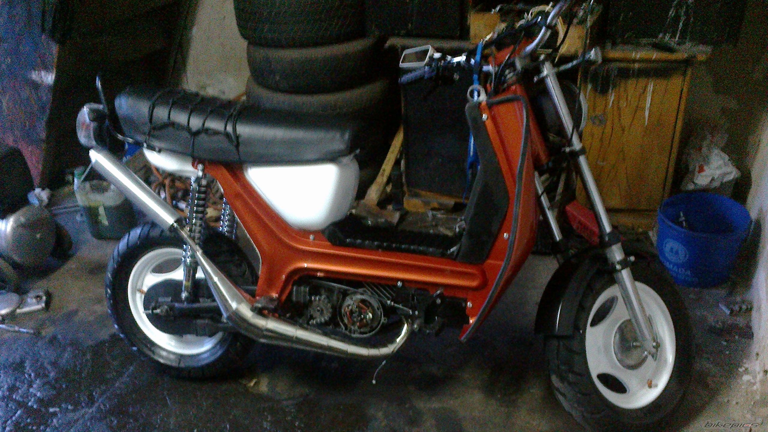 Photo 2562202